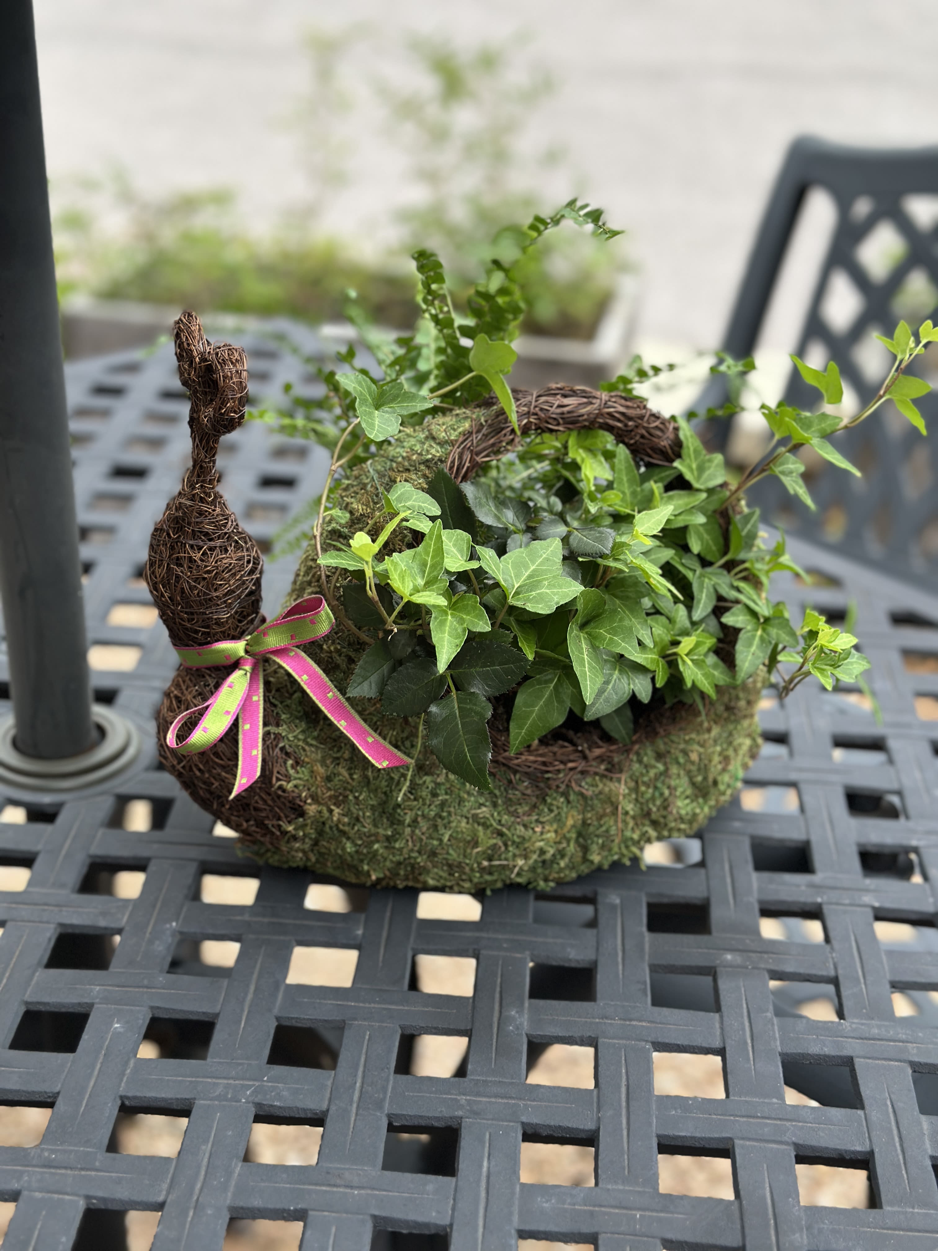 Patio Pal  - A perfect little friend to decorate a spring patio. Our mossy snail basket is filled with a collection of live plants. Overall design is approximately 12" W x 10" H.