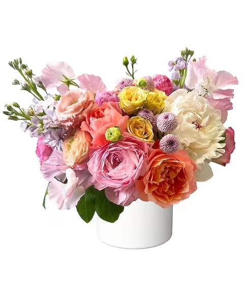 Sugar Bloom Bouquet - Sugar Bloom is a sweetly sophisticated arrangement that feels like a confection of florals, soft, airy, and effortlessly refined. Featuring lush peonies, striking roses, textured lisianthus, soft ranunculus and graceful tulips, this design is composed of high-end, premium florals in a delicate palette of blush, creamy whites, and dreamy pastels. Each stem is thoughtfully placed to create a cloud-like fullness, blending romantic texture with elevated elegance. Light, whimsical, and undeniably luxurious, Sugar Bloom evokes the beauty of a modern garden in full bloom. Perfect for celebrating life’s most meaningful moments with style and grace.