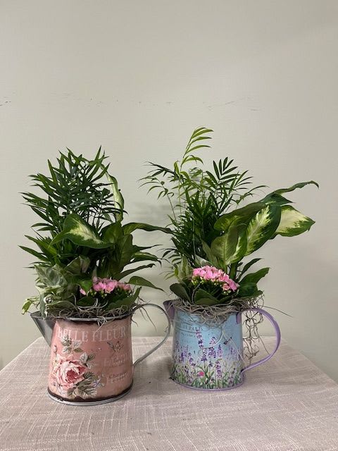 Dish Garden - Please Note: Each design is custom made and filled to value. We only use fresh product to ensure top quality so new orders are subject to substitutions.  **Color can be requested but not guaranteed**