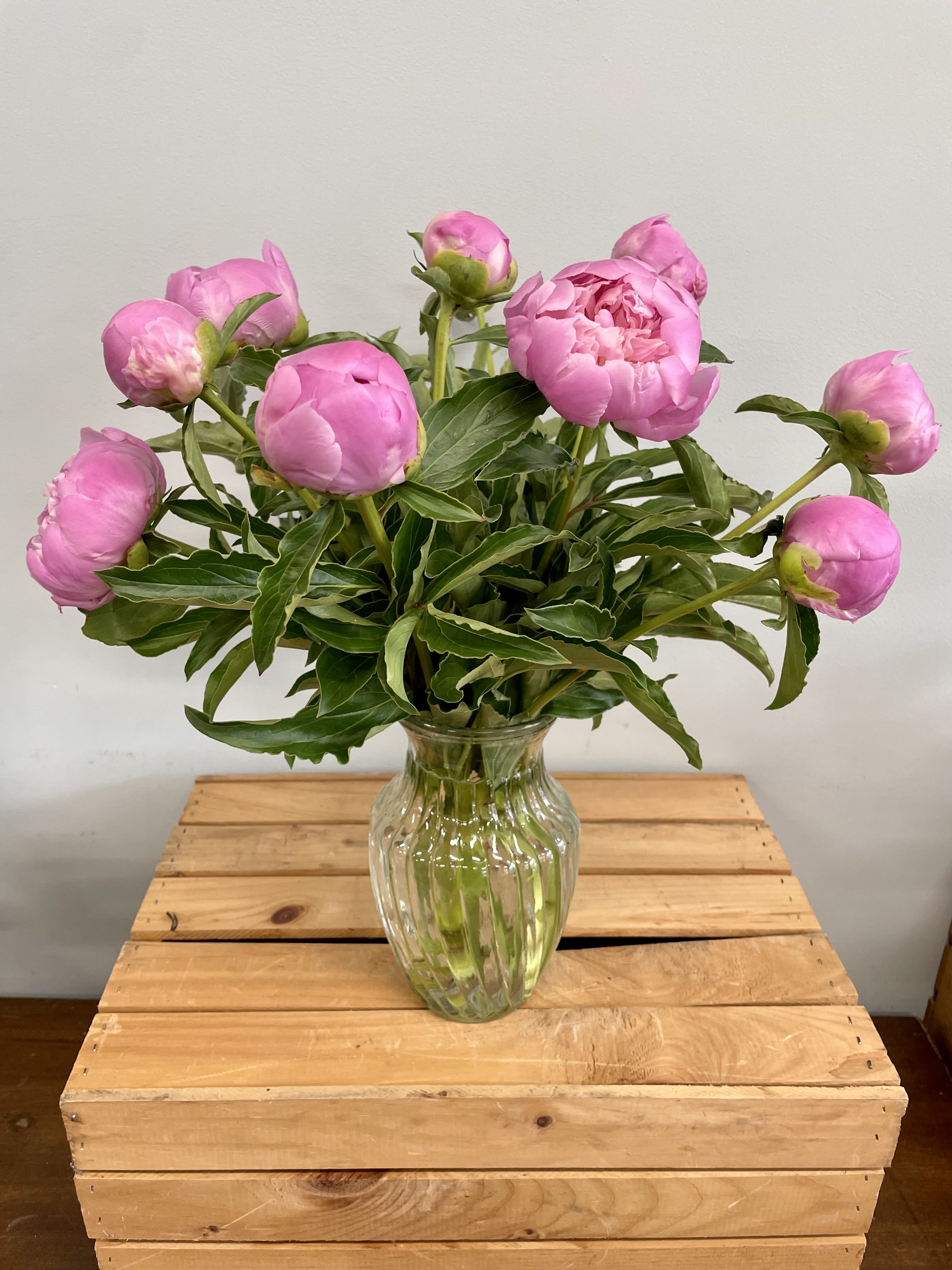 Peony Vase - *NOT GUARUNTEED AVAILABLE FOR SAME DAY DELIVERY* Please allow us one day prior to delivery date to find You the best quality peonies.