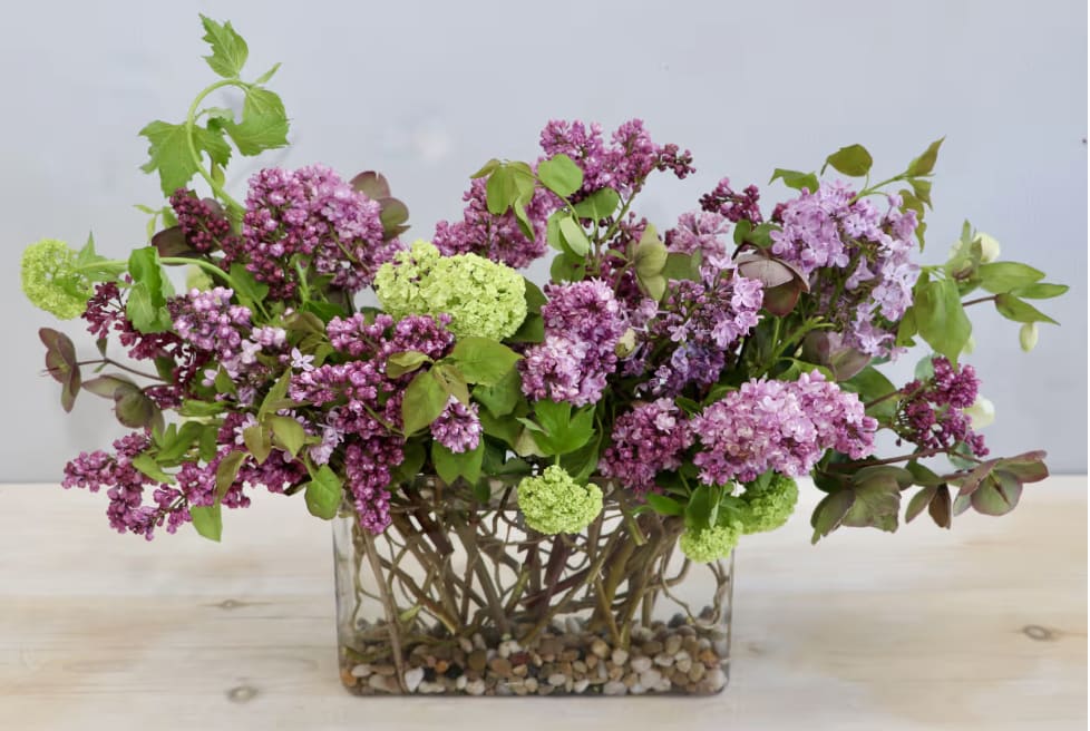 Pink and purple lilac arrangement in a clear glass vase