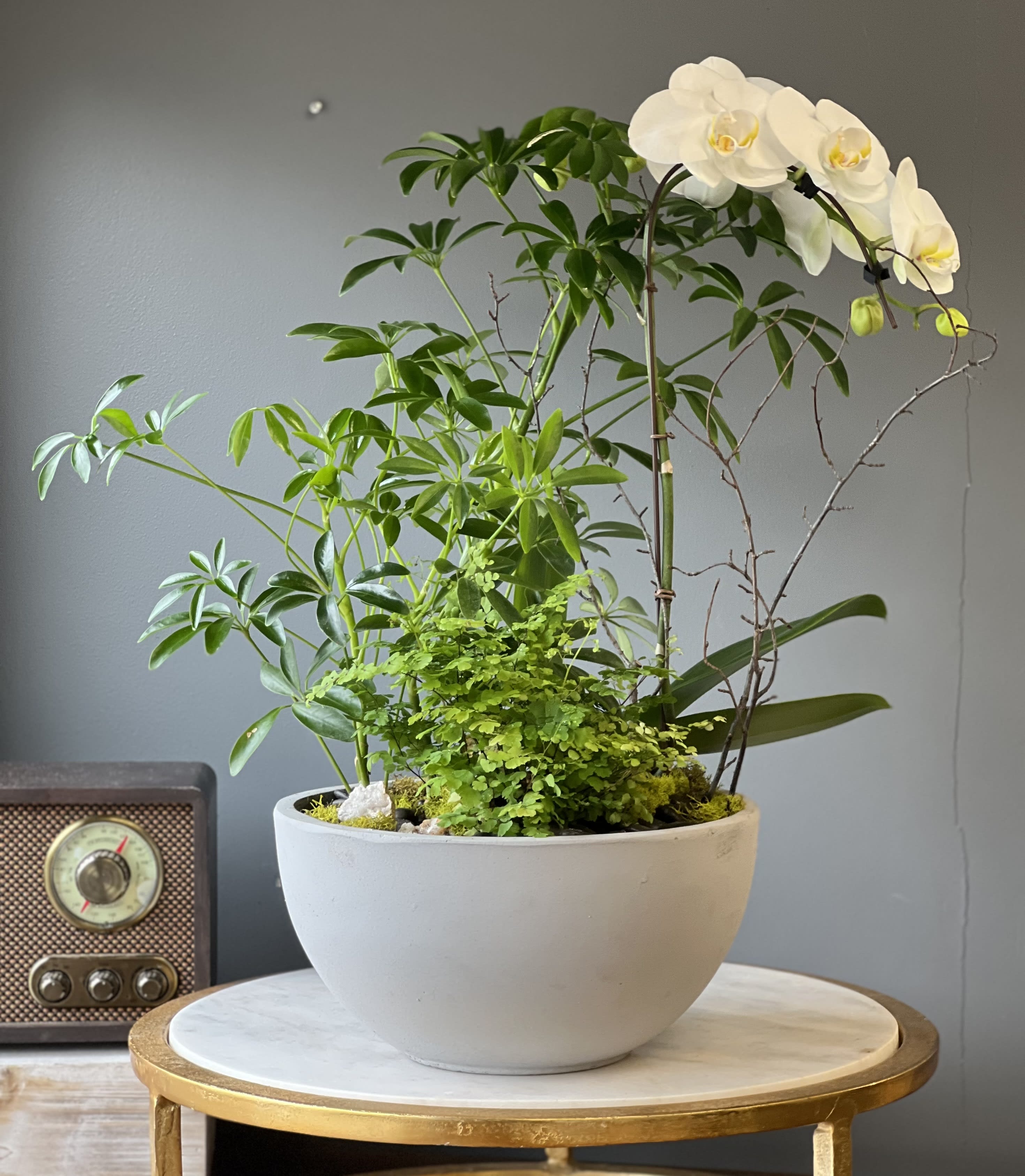 White orchid and assorted green plants in a gray bowl planter on a round table