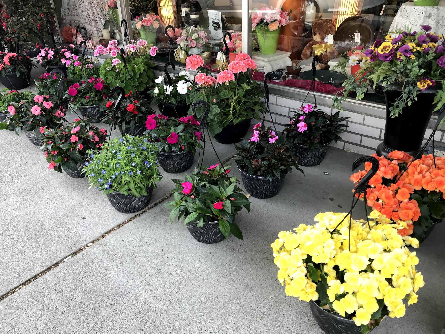 Outdoor plants *PRICES FOR LOCAL DELIVERY ONLY* - Our beautiful assortment of hanging baskets and patio pots come in a wide variety of sizes, colors and flowers. From bright Begonias to fun Fushias and lots of Geraniums you will find something to please and brighten anyones day! (LOCAL DELIVERY ONLY, OUT OF TOWN $60 MIN)