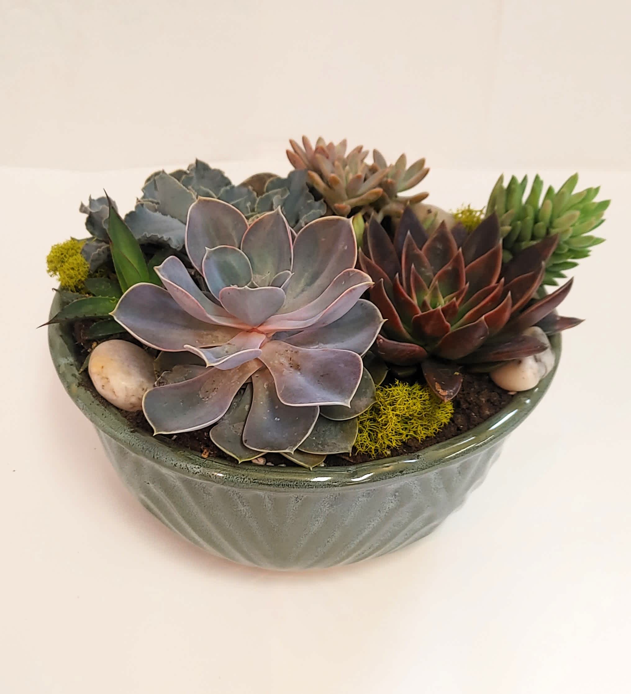 Succulent Garden - A deluxe collection of vibrant succulents elegantly arranged in a charming container, complemented by decorative rock accents and moss.