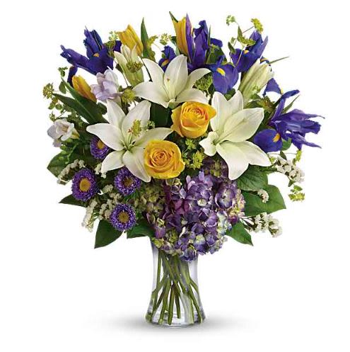 Spring Iris Flower  - Pet Friendly? No This arrangement includes lilies, which are highly toxic to cats and can be harmful to dogs and other household pets according to the ASPCA. Keep out of reach and avoid homes with curious cats.  Human Allergy Note :  Lilies and asters can be pollen- heavy and may trigger sensitivities. For lower pollen, ask us to remove lily anthers or place the arrangement in a well-ventilated area away from bedding and seating.  Care &amp; Longevity :  Trim 1" off stems at an angle and place in fresh, clean water with flower food. Change water every 2 days, keep away from direct sun, heat, and vents, and remove fading blooms to help the rest last longer.   Best Occasions &amp; Situations :  - Congrats &amp; promotions  - Get well/comfort  - Thinking of you  - Birthday  - Housewarming  - Mother’s day   - Spring gatherings  - Just because  Why Customers Love It : - Bold color balance of yellow, white, and purple feels fresh and celebratory - Tall iris and lilies create instant height and presence - Gift-ready in a clear glass vase — no wrapping needed - Versatile for spring birthdays, congrats, or thank-you gifts - Hand-arranged for a natural, garden look