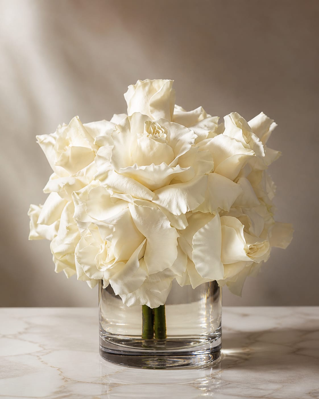 White Roses - White Roses in Vase