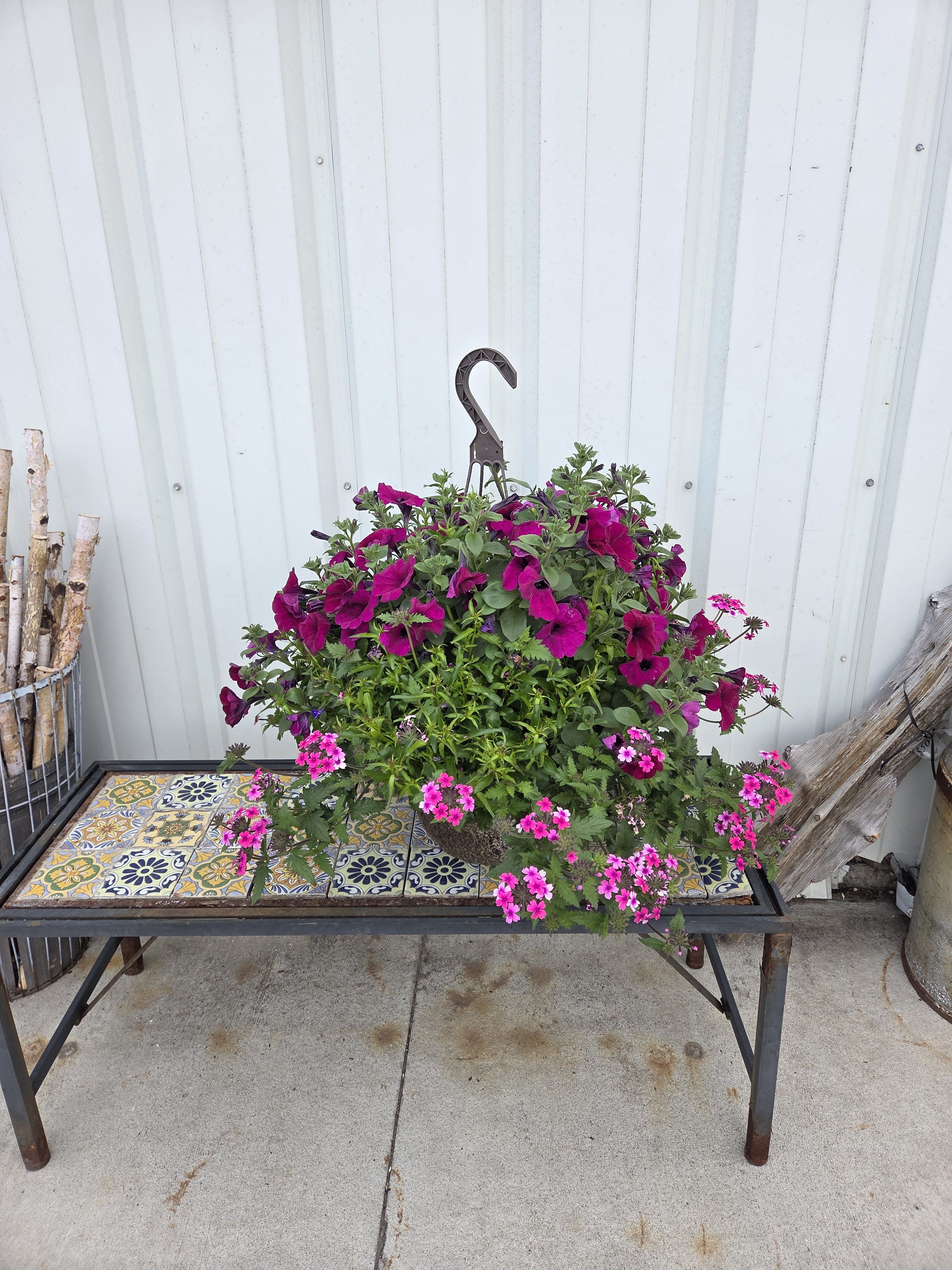 Greenhouse - Medium Hanging Basket  - Plant varieties and colors will vary with each basket, we'll choose the freshest one for you! - 12" diameter