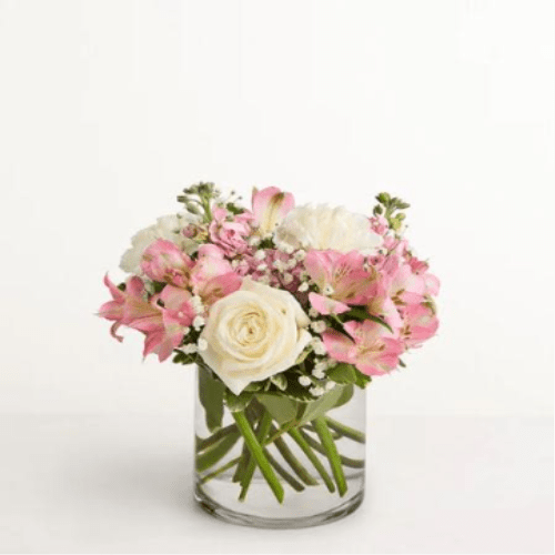 Elegant Blush Flower  -  Pet Friendly? NO . Alstroemeria and Baby’s Breath are considered mildly toxic to cats and dogs if ingested, according to ASPCA guidance.  Keep out of reach; avoid homes with curious household pets.   Human Allergy Note : No major allergy-triggering flowers noted.  Alstroemeria and Stock can release light pollen, so keep away from bedding and ventilate the room if sensitive.   Care &amp; Longevity : Trim stems at an angle and place in fresh, clean water with flower food. Change water every 2 days, keep away from direct sun, heat, and vents, and remove fading blooms as they occur to extend freshness.   Best Occasions &amp; Situations :  - Anniversary gift  - Birthday surprise  - Congratulations  - Get well wishes  - New baby celebration  - Just because  - Housewarming  - Thank you gesture  Why Customers Love It : - Soft color balance of blush and white fits almost any décor - Gift-ready presentation in a clear cylinder vase, no extra work needed - Versatile style works for romance, birthdays, and get well - Fresh, full shape looks abundant without being oversized