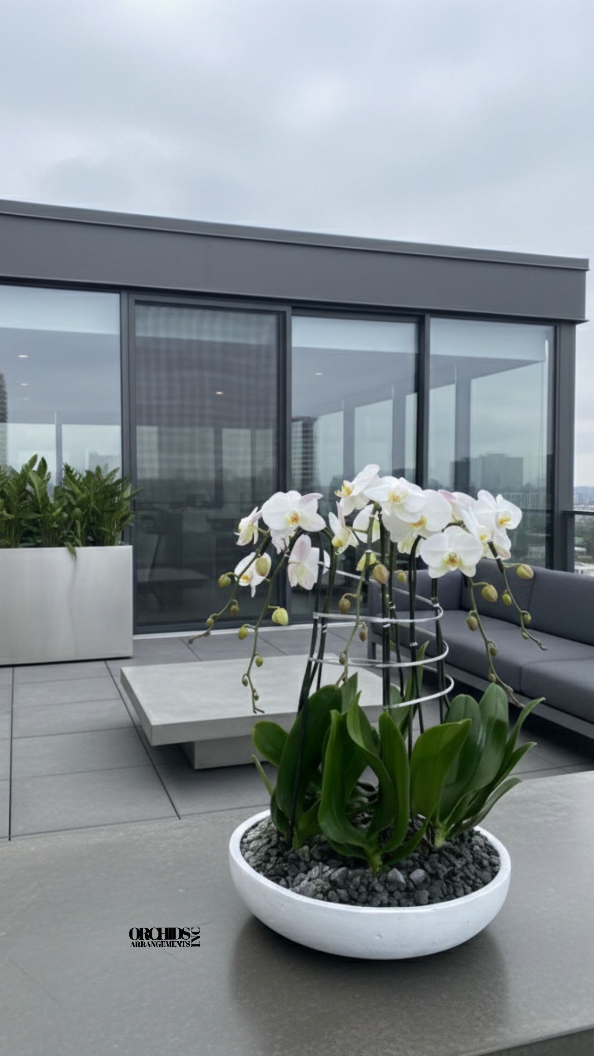 White orchids in a shallow white bowl on a rooftop terrace