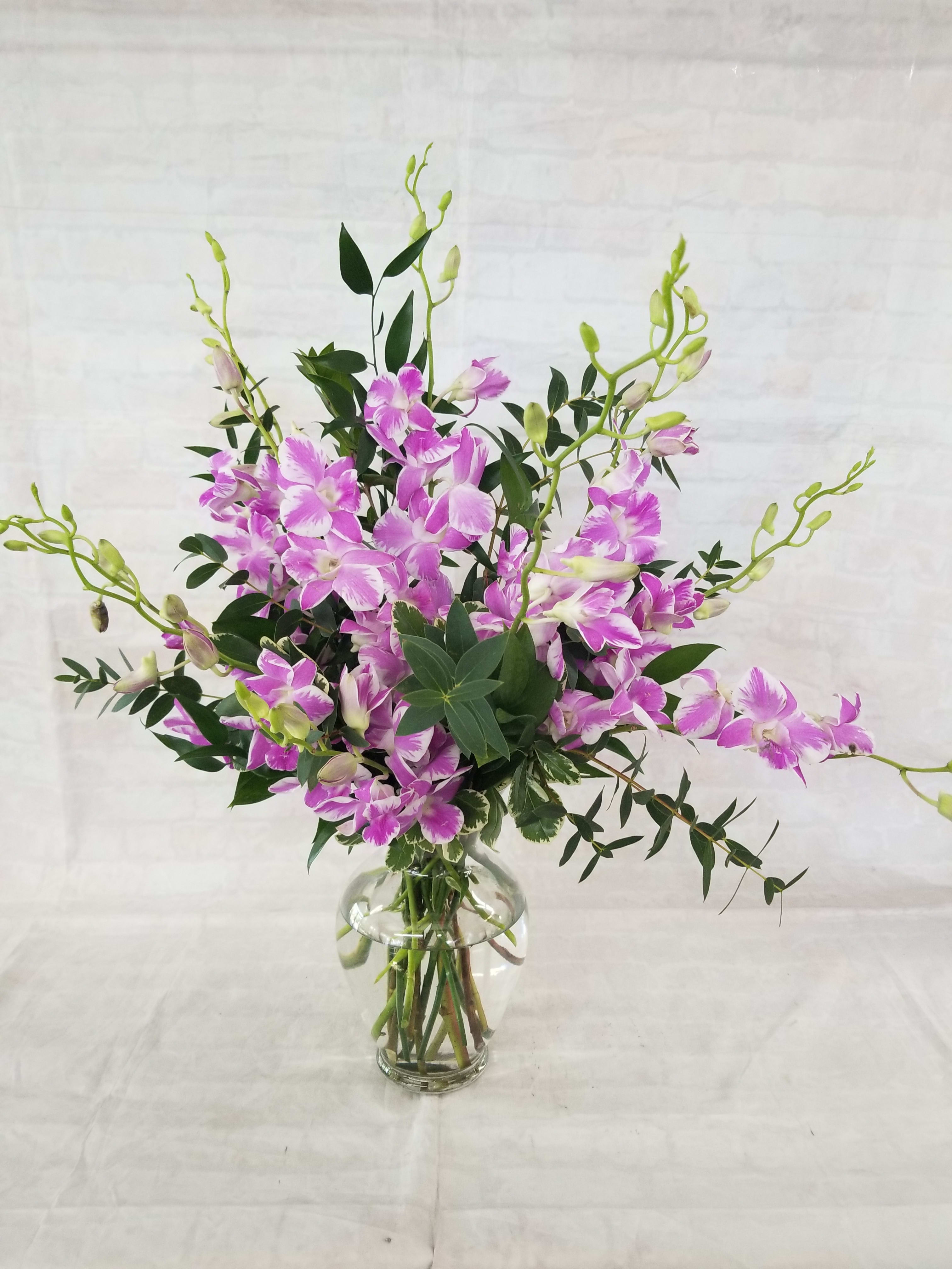 Pink and white orchids arranged in a clear glass vase.