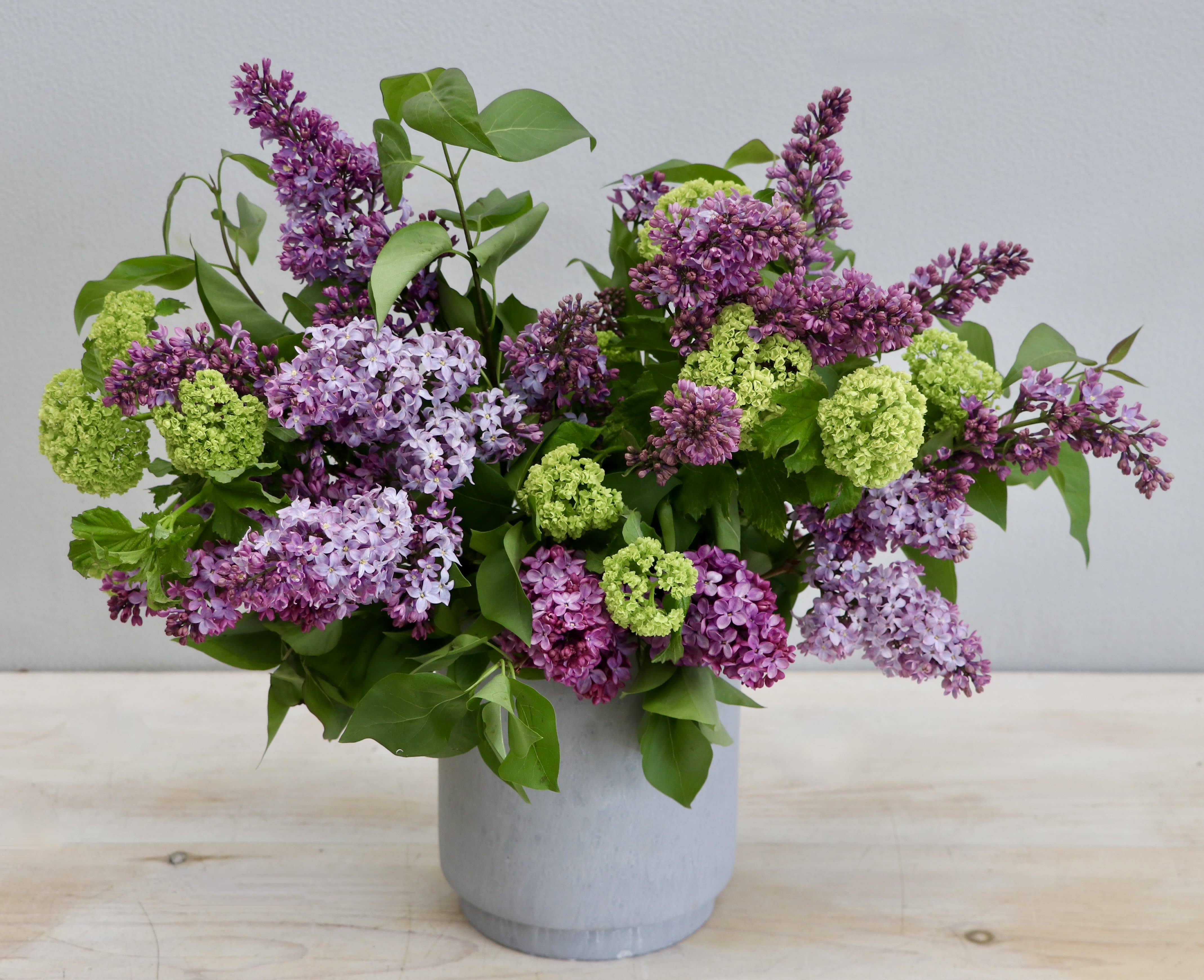 Lilac and green viburnum arrangement in a gray vase