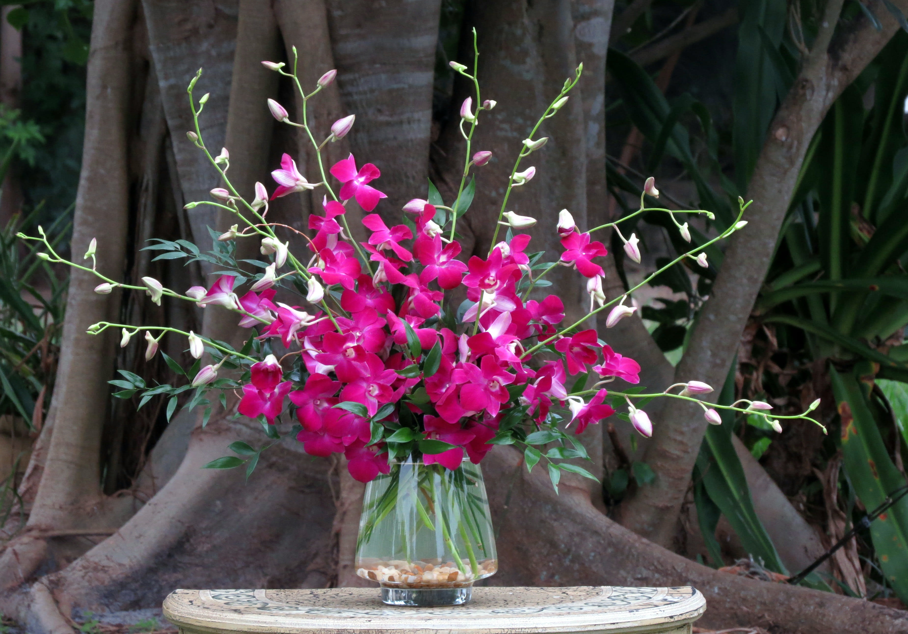Bright pink orchid arrangement in a clear glass vase