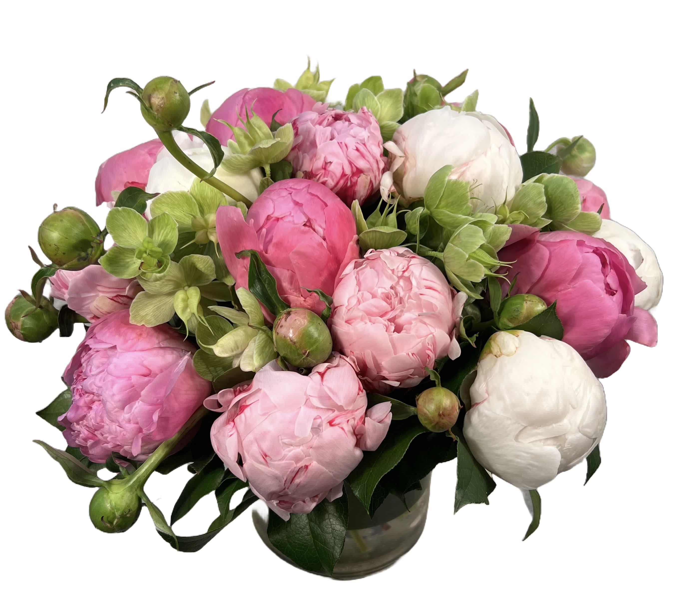 Pink and white peonies arranged in a glass vase