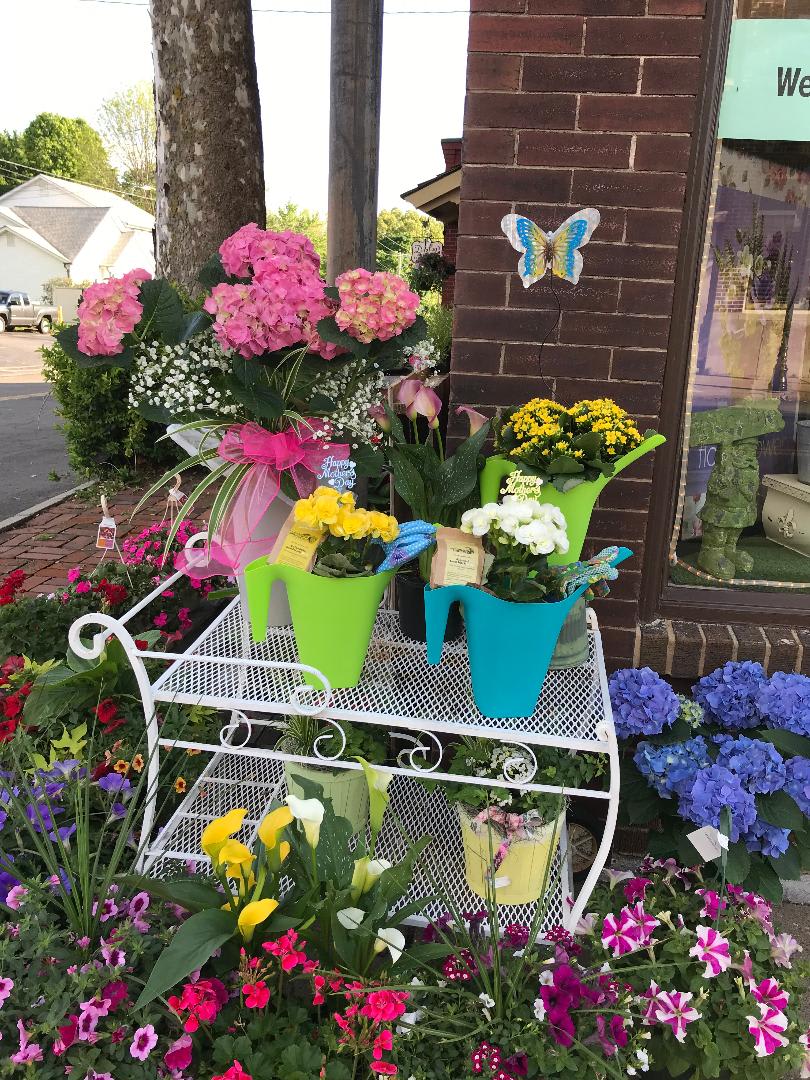 Colorful potted flowers arranged on a white metal stand outside a shop