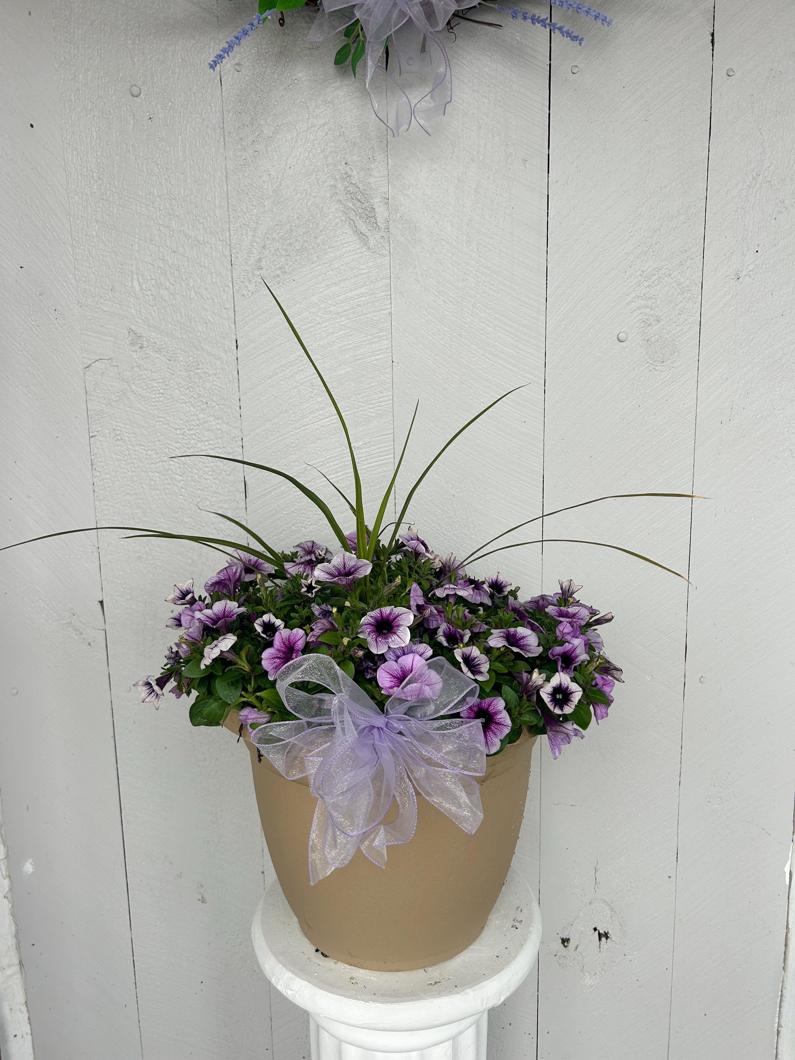 Petunia Patio Pot - This charming patio planter features cheerful petunias accented with airy greens and finished with a bow. Available in purple and pink.