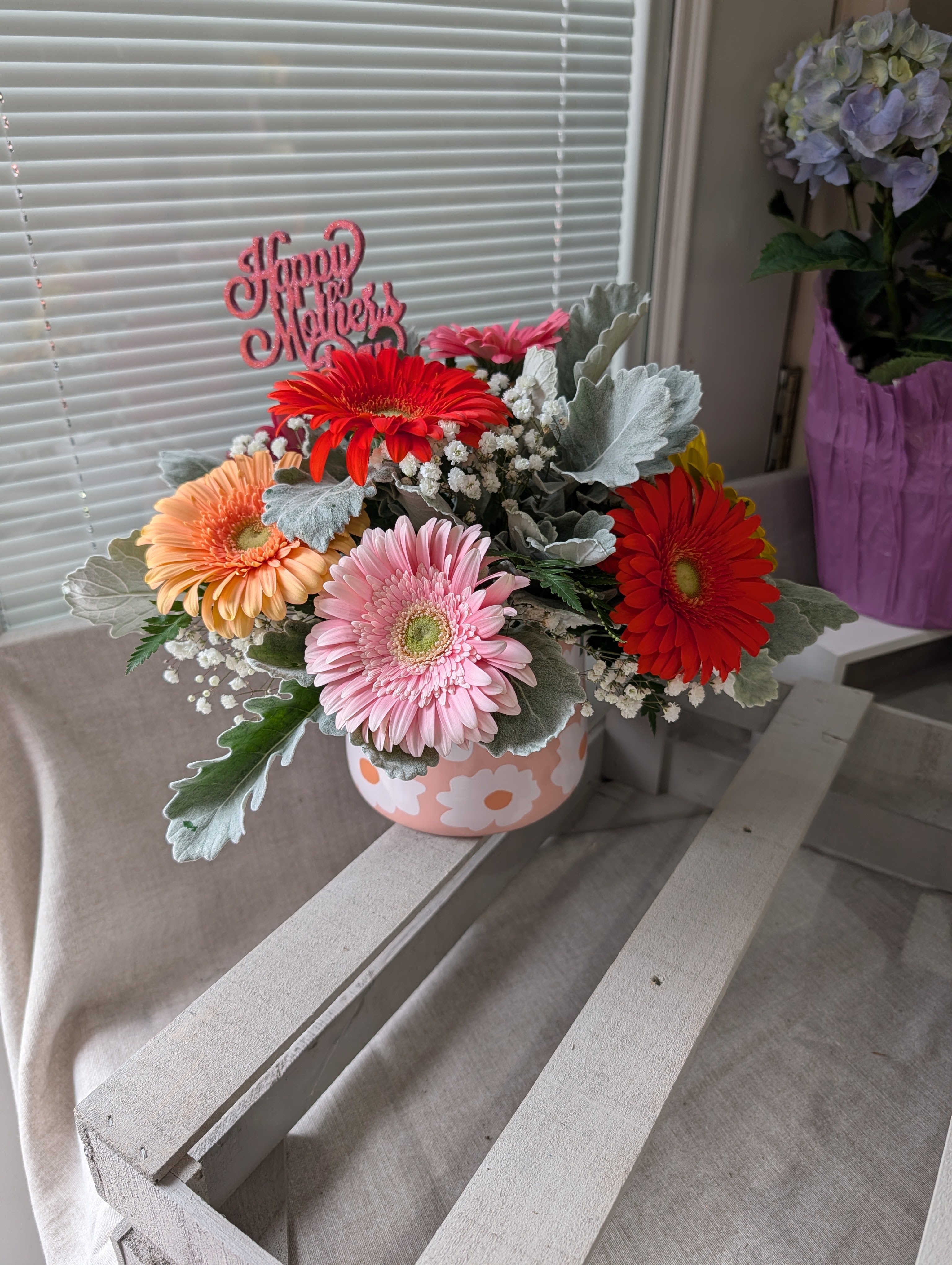 Mothers Day Gerbera Special - Colorful mixed getbera daisies