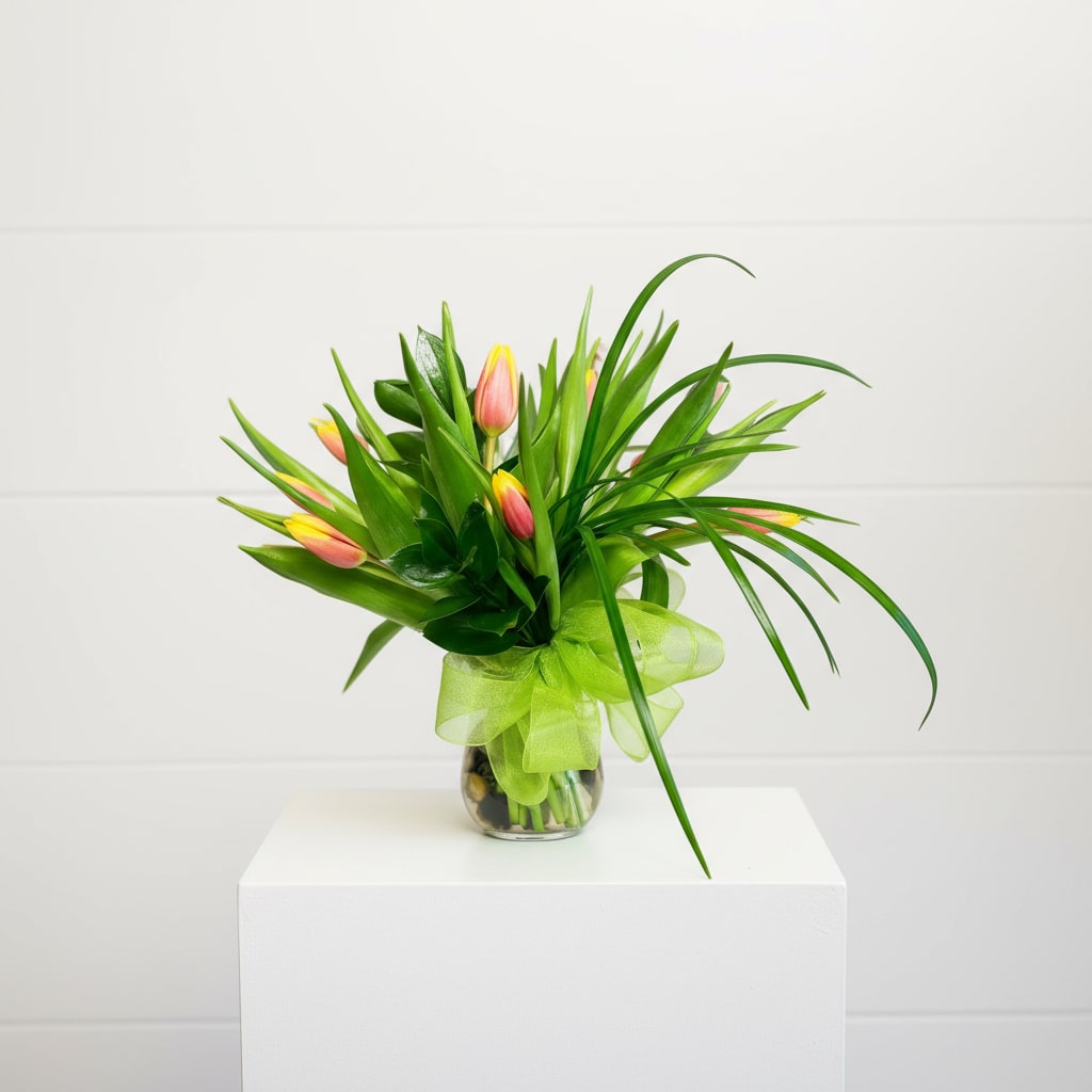 Dozen Tulips (Assorted Colors) - .