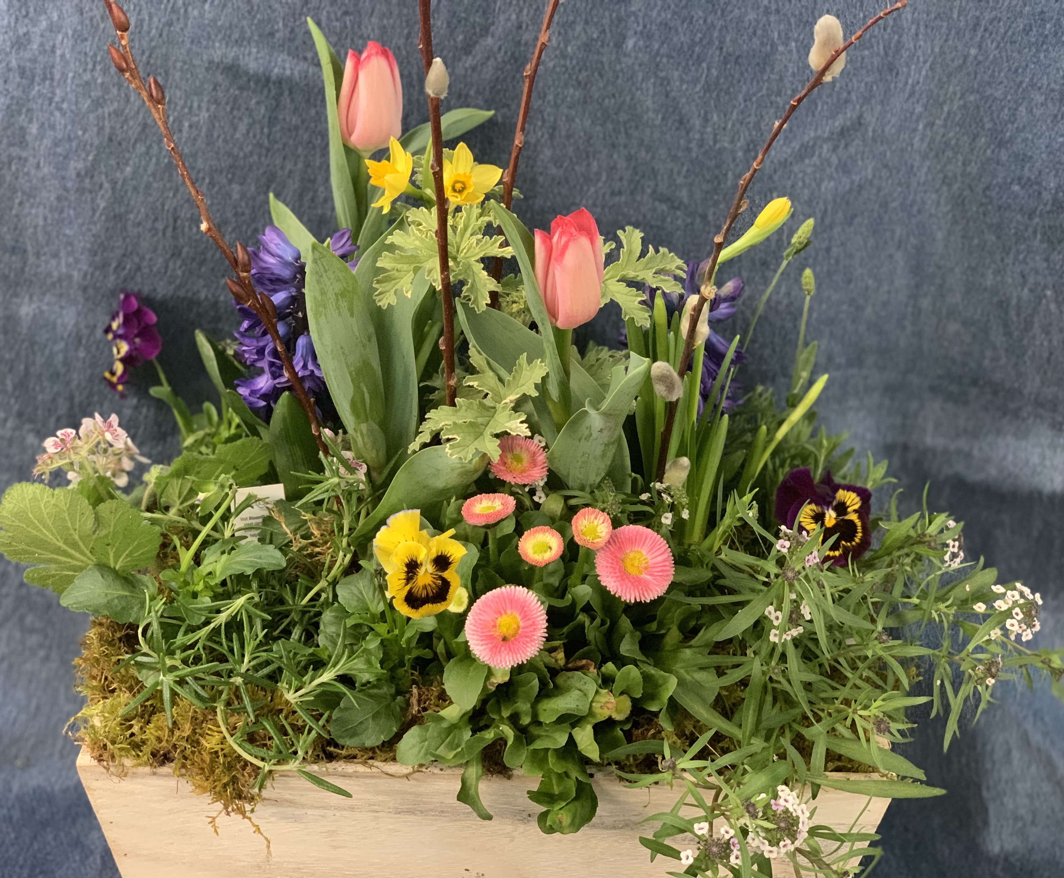 Spring planter with pink tulips, yellow daffodils and mixed blooms in a wooden box