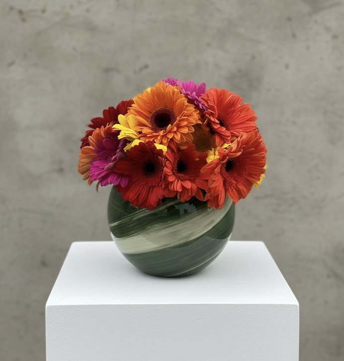 Etowah Daisy Bowl - 1st Image: Premium 2nd Image: Standard in a 5 inch bowl vase   An instant brightener, send somebody a bowl full of Gerbera Daisies. To quote Kathleen Kelly "They're so friendly. Don't you think daisies are the friendliest flower?". Gerbera Daisies make a perfect just because gift or birthday wishes. 