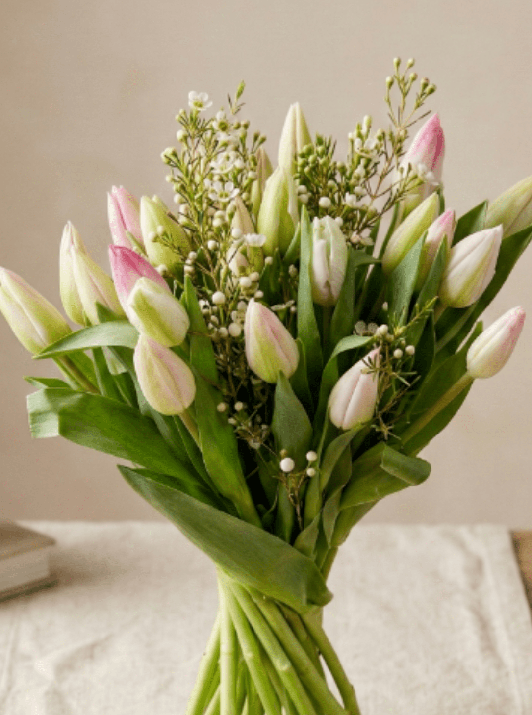 Hand-tied bouquet of pale pink and white tulips with small white accent flowers