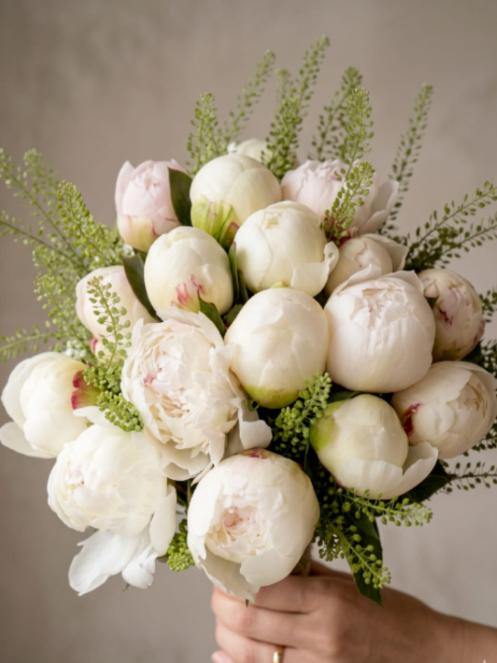 BP116 - White Peony Bouquet - It features a striking and luxurious gathering of light peonies, elegantly accented with green. Bold, lush, and beautifully wrapped, it’s the ideal gesture for celebrating life's most beautiful moments.  Featured Blooms &amp; Seasonality:  Peonies: Peak late Spring through early Summer.
