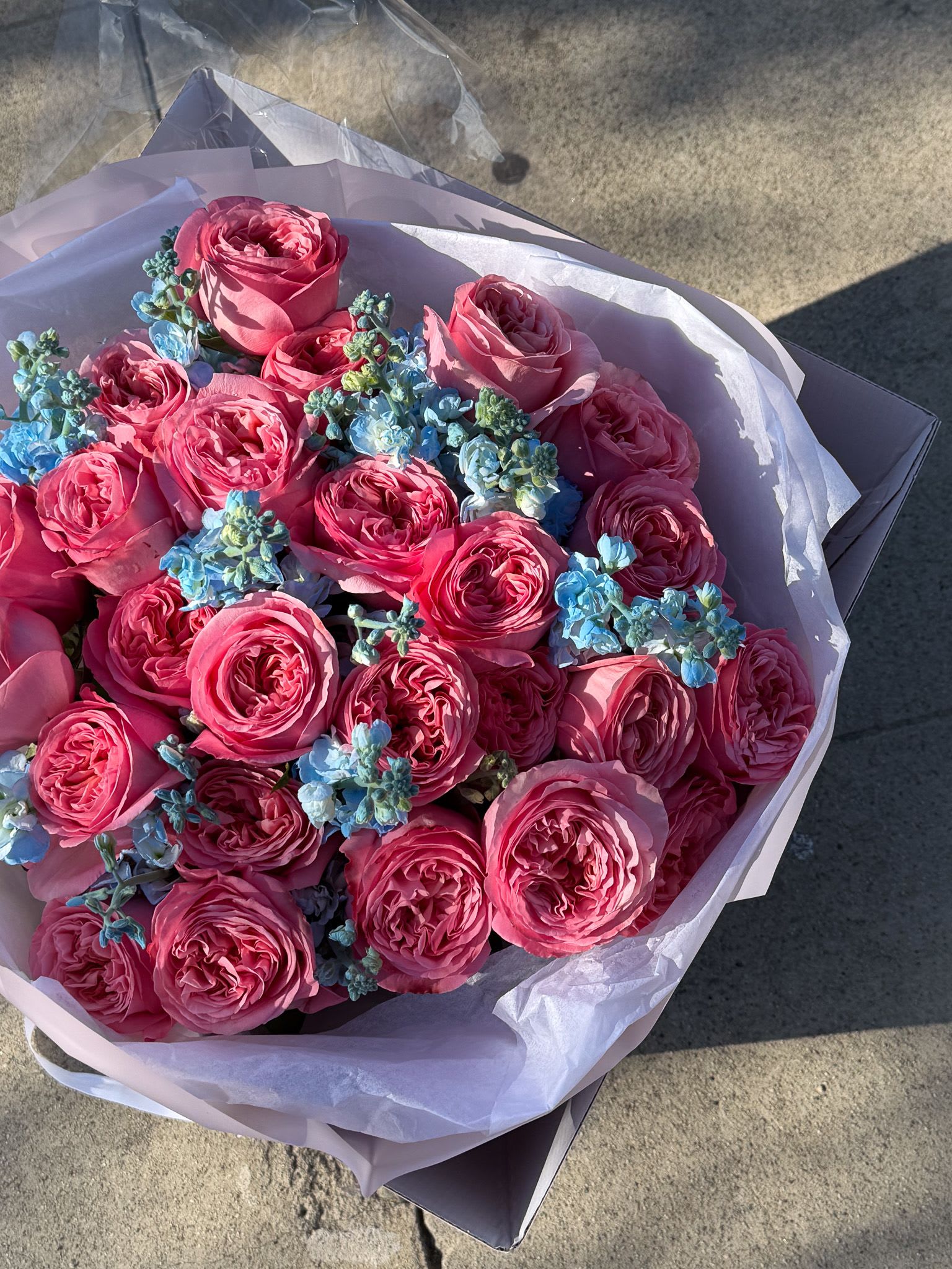 Blue Crush - A dreamy bouquet featuring luxurious pink garden roses accented with delicate touches of soft blue florals for an unexpected, modern contrast. “Blue Crush” blends romance with edge — rich layers of ruffled rose petals create fullness and softness, while the airy blue accents bring a fresh, cool-toned balance that makes the entire arrangement feel unique and unforgettable. Designed in Flonet’s signature rounded style and wrapped in soft neutral tones, this bouquet feels playful, feminine, and elevated all at once. Perfect for birthdays, romantic surprises, or anyone who loves classic flowers with a modern twist.