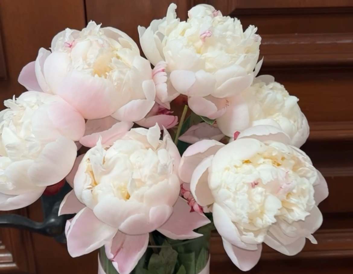 Bouquet of pale pink and white peonies in a vase