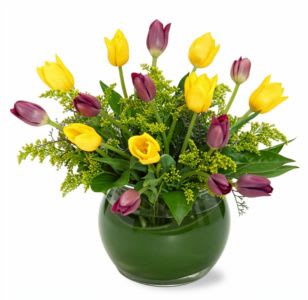 Touch of Tulips Flower -  Pet Friendly? No — contains tulips, which can be toxic to cats and dogs.  Keep out of reach; avoid homes with curious cats or dogs.   Human Allergy Note : No major allergy-triggering flowers noted.  Keep bouquet away from bedding to avoid mild pollen contact.   Care &amp; Longevity : Trim stems at an angle and place in a clean vase with fresh water. Change water every 2–3 days, remove fading blooms, and keep out of direct sun or heating vents for longest freshness.     Best Occasions &amp; Situations : - Birthday - Romance/anniversary - Just because - Get well/comfort - Congratulations flower - Thinking of you - New baby - Mother's day - Quinceañera flower   Why Customers Love It : - Vibrant color balance creates an instant mood lift - Elegant hand-tied presentation for easy gifting - Fresh, high-quality blooms with visible care - Versatile for multiple occasions - Light, airy arrangement complements any space