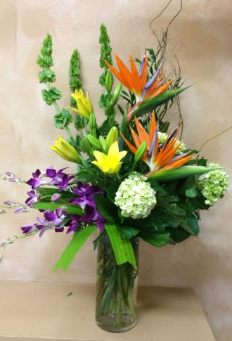Tropical bouquet with bird of paradise, orchids, and hydrangea in a glass vase