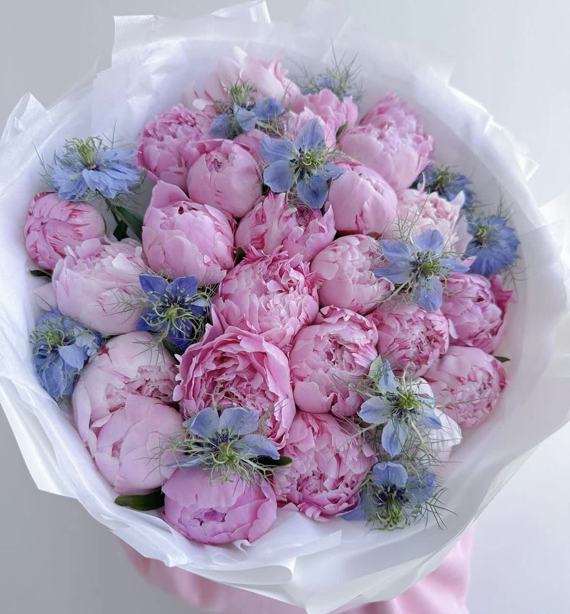 Bouquet of pink peonies with small blue flowers wrapped in white paper