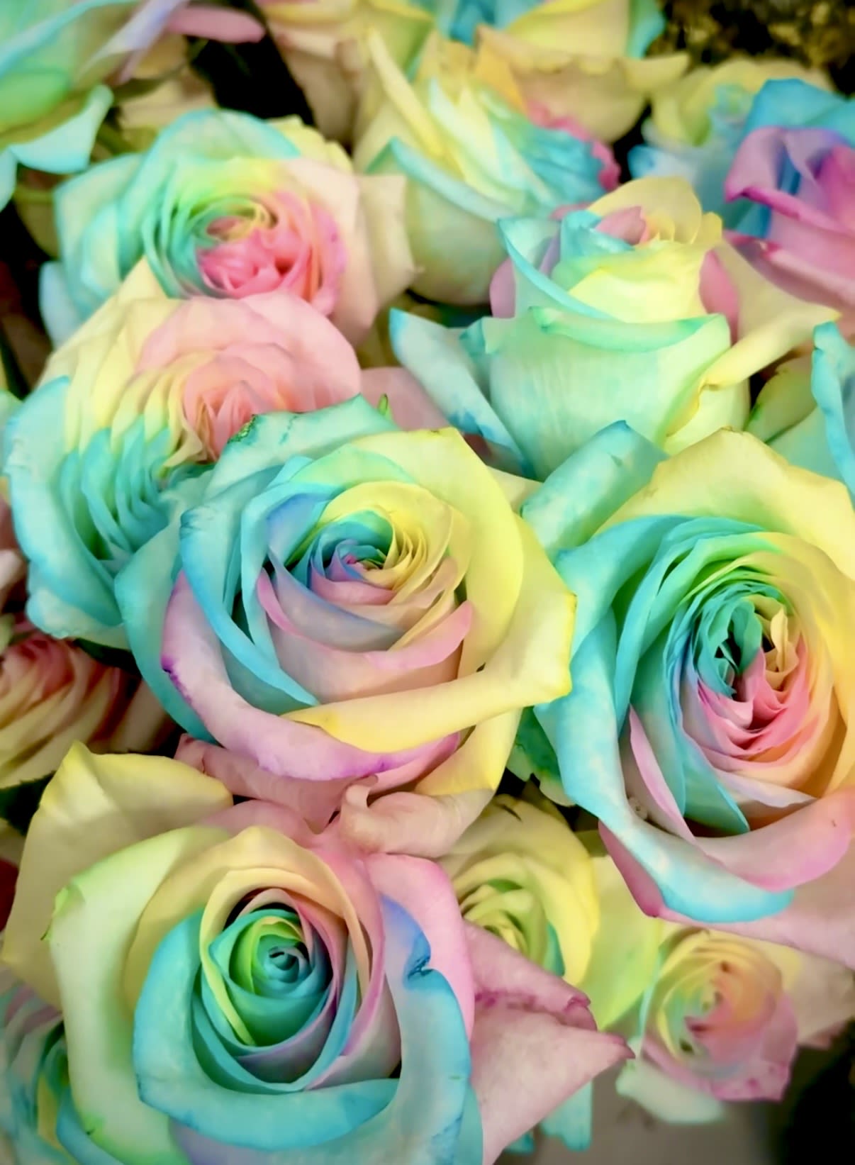 6 Pastel Rainbow Rose Vase - 6 GORGEOUS pastel rainbow roses arranged in a glass vase with filler flowers, greens, and a bow. A very special gift! Only available Mother's Day week.   We are proud to deliver our flower creations to the Kenosha, Somers, and Pleasant Prairie area. With over 55 years of combined flower design experience in Kenosha, Wisconsin, A Summer's Garden Florist and Gifts is the perfect choice for the freshest flowers, most creative design, and exceptional customer service.