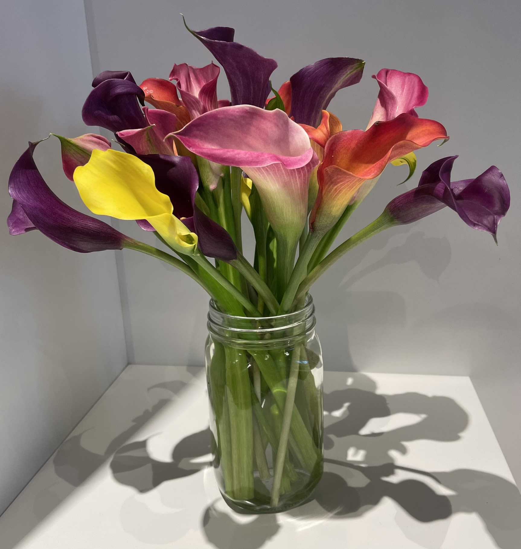 Bouquet of colorful calla lilies in a clear glass jar