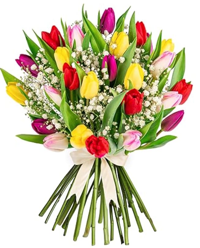 Tulips (Wrapped) - Assorted tulips 