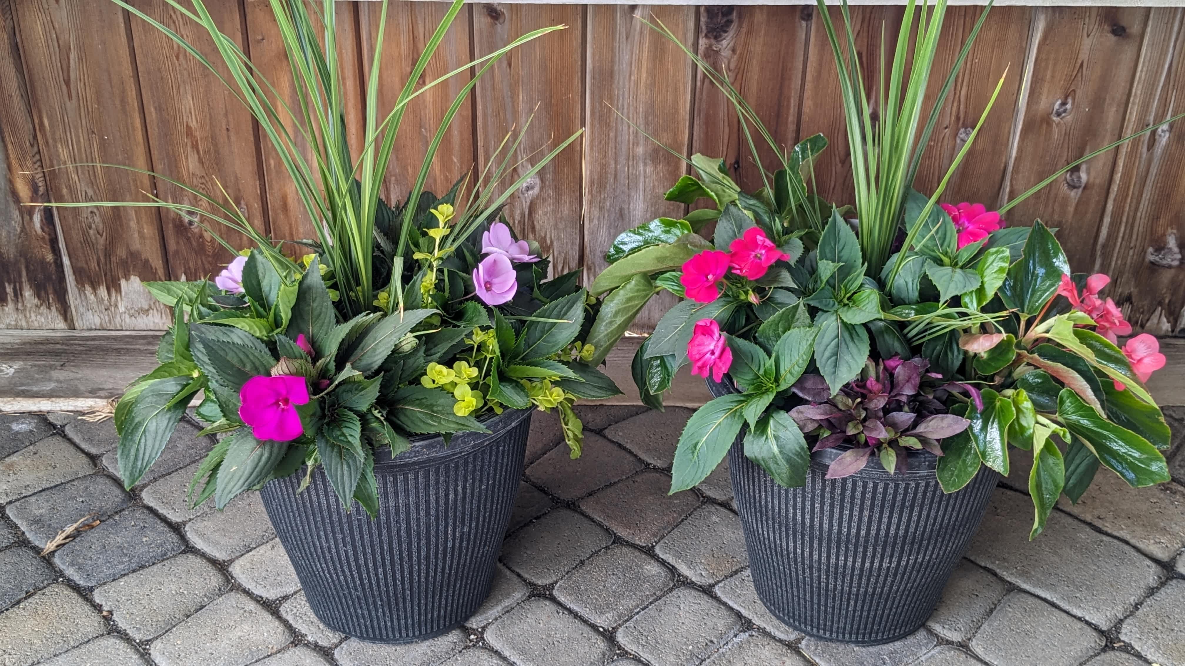 Two potted mixed flower planters with pink blooms and tall grass-like foliage