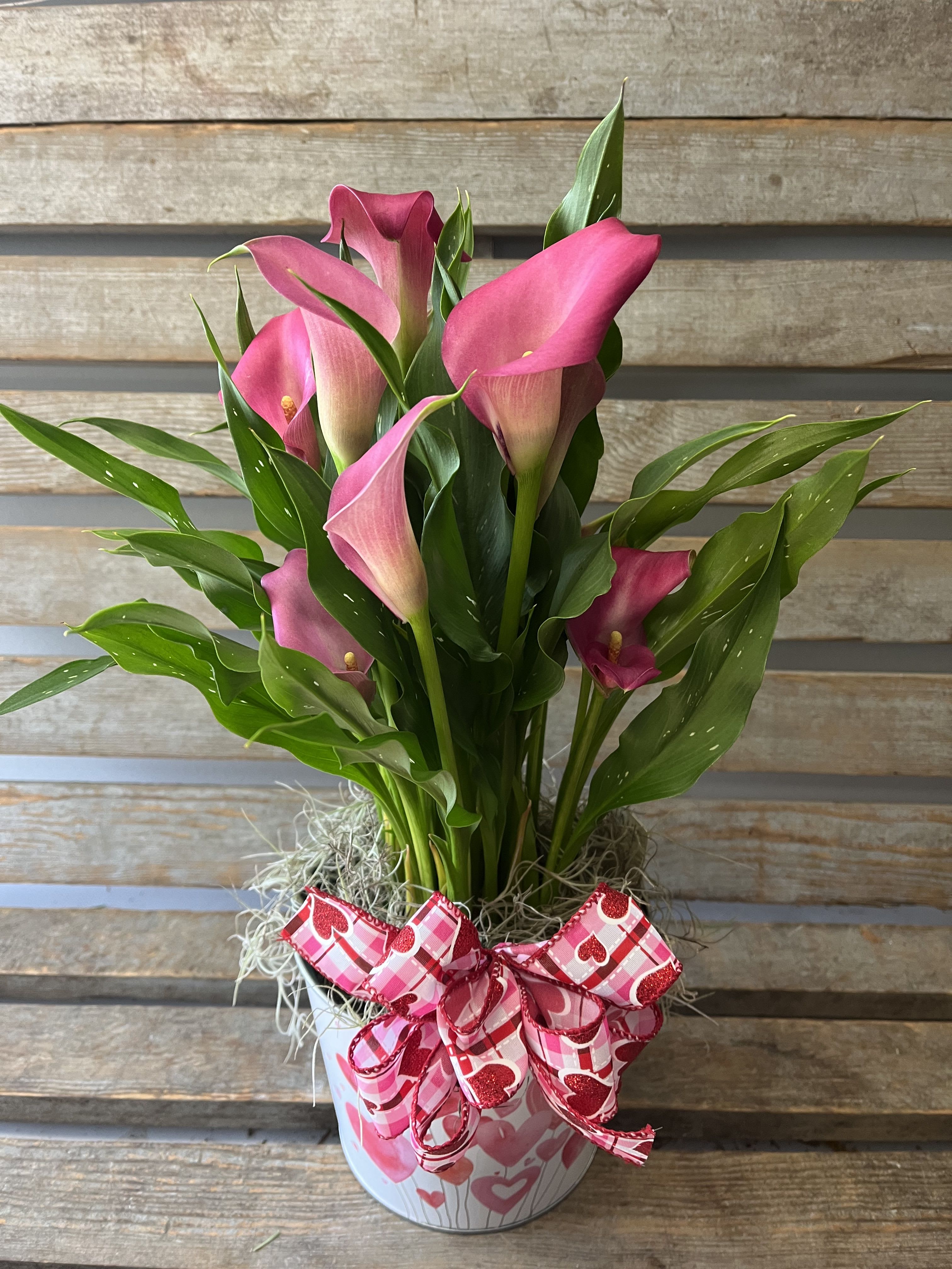 Pink calla lilies in a heart-decorated pot with a ribbon bow