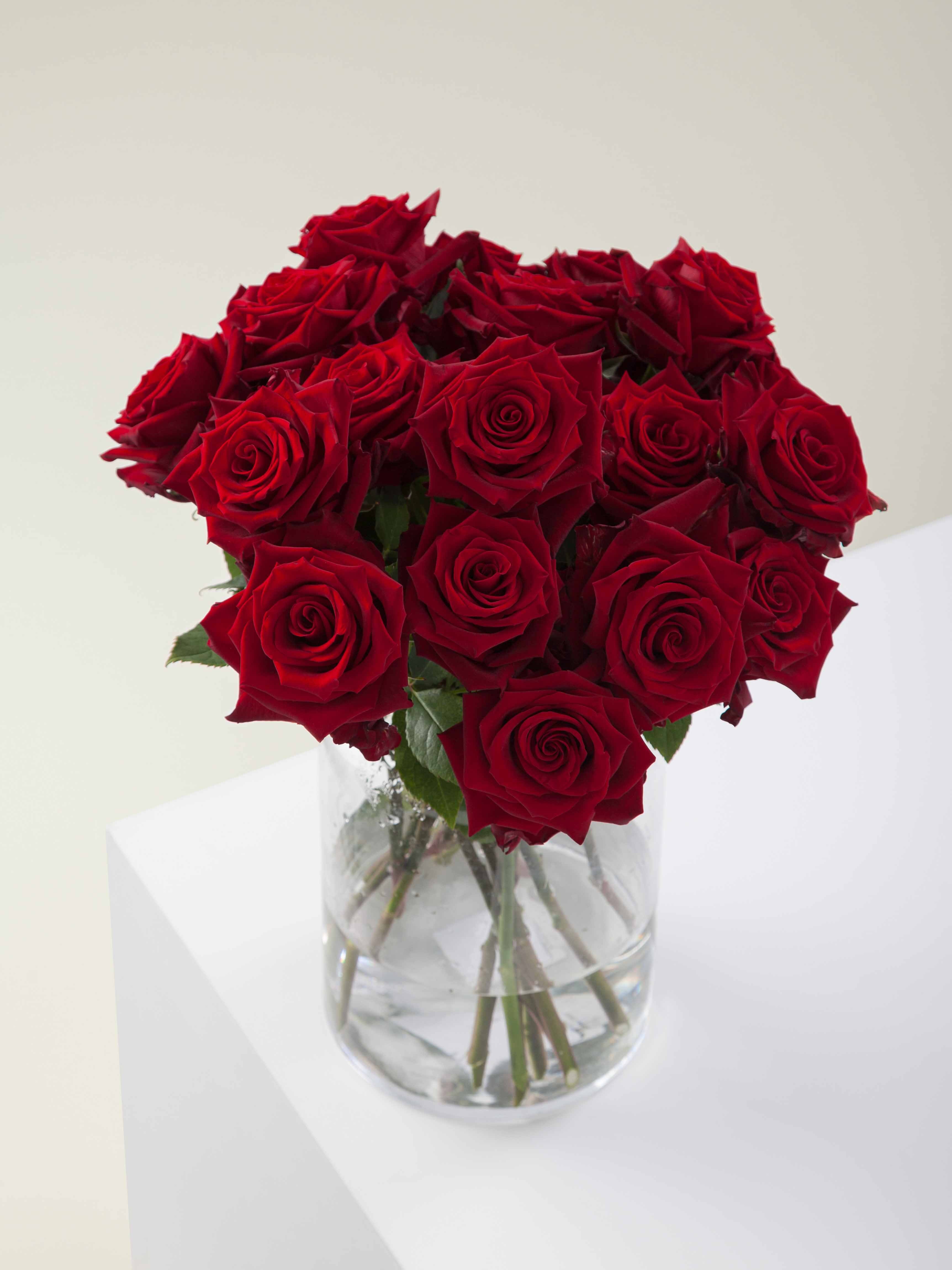 The Show Stopper (48 Roses) - Fresh roses delivered from the heart of DTLA. The Classic is 48 hand-selected, farm-fresh roses available in 13 stunning varieties — from bold hot pinks to soft nudes and champagne tones. Choose your stem length (50, 60, 70cm), wrap style (ribbon).