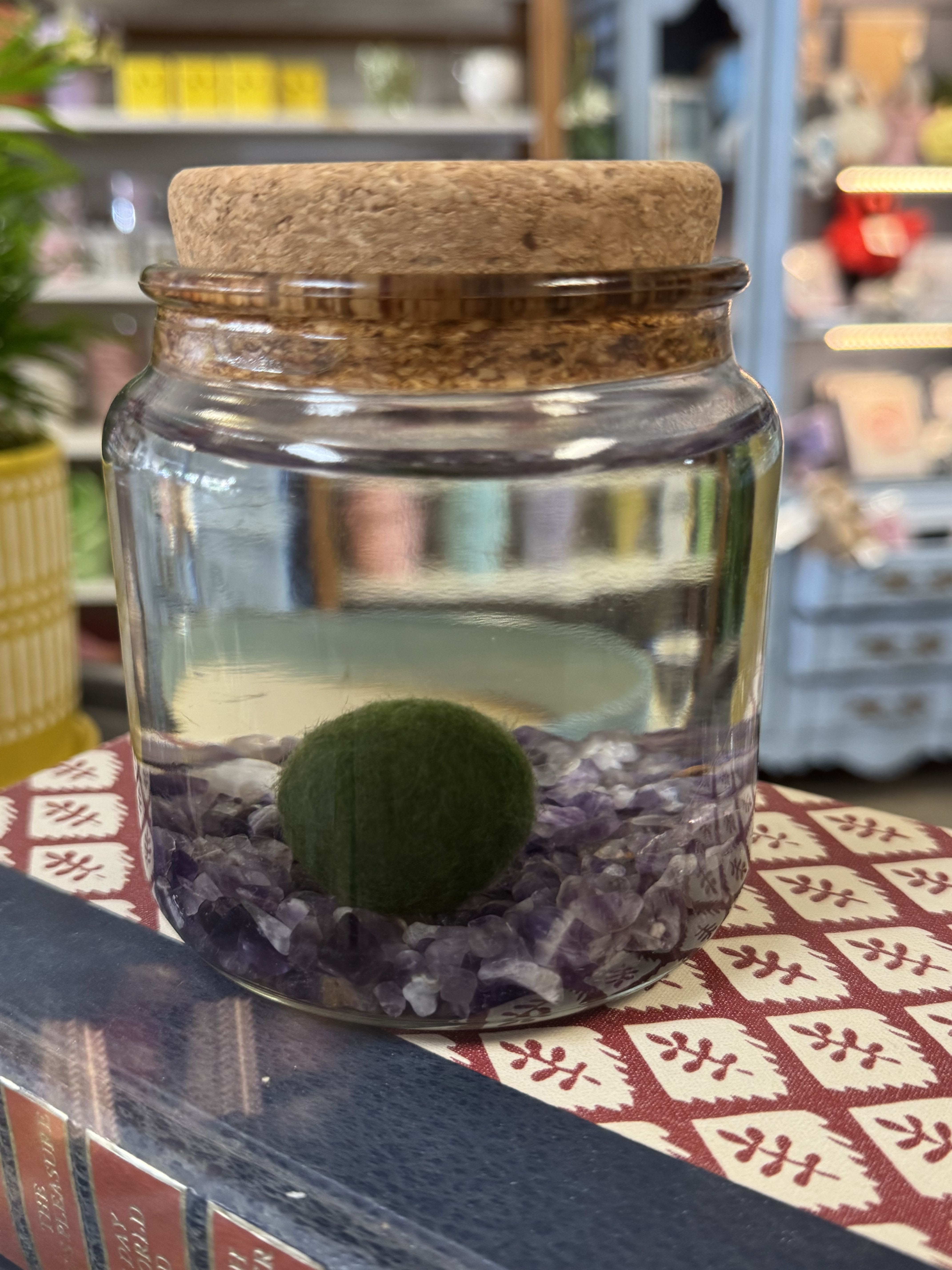 Moss Amigo - Amethyst - Meet your new low-maintenance little buddy! Moss Amigos are real moss balls living in a glass jar with water, complete with their own tiny resin “pet” friend inside. They’re perfect for desks, shelves, bathrooms, offices, or cozy spaces that don’t get much sunlight. Think of them as an upgraded pet rock — cute, quirky, and easy to love.