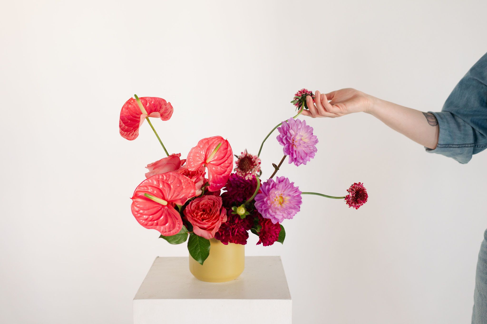 Modern Spring Centerpiece - A whimsical, modern, sculptural design featuring bright, tropical anthuriums, premium textured dahlias and dancing scabiosa.   Occasionally, we may need to substitute individual blooms due to daily and seasonal availability so arrangements may not look exactly as pictures, but we will always substitute with similar flowers where possible.