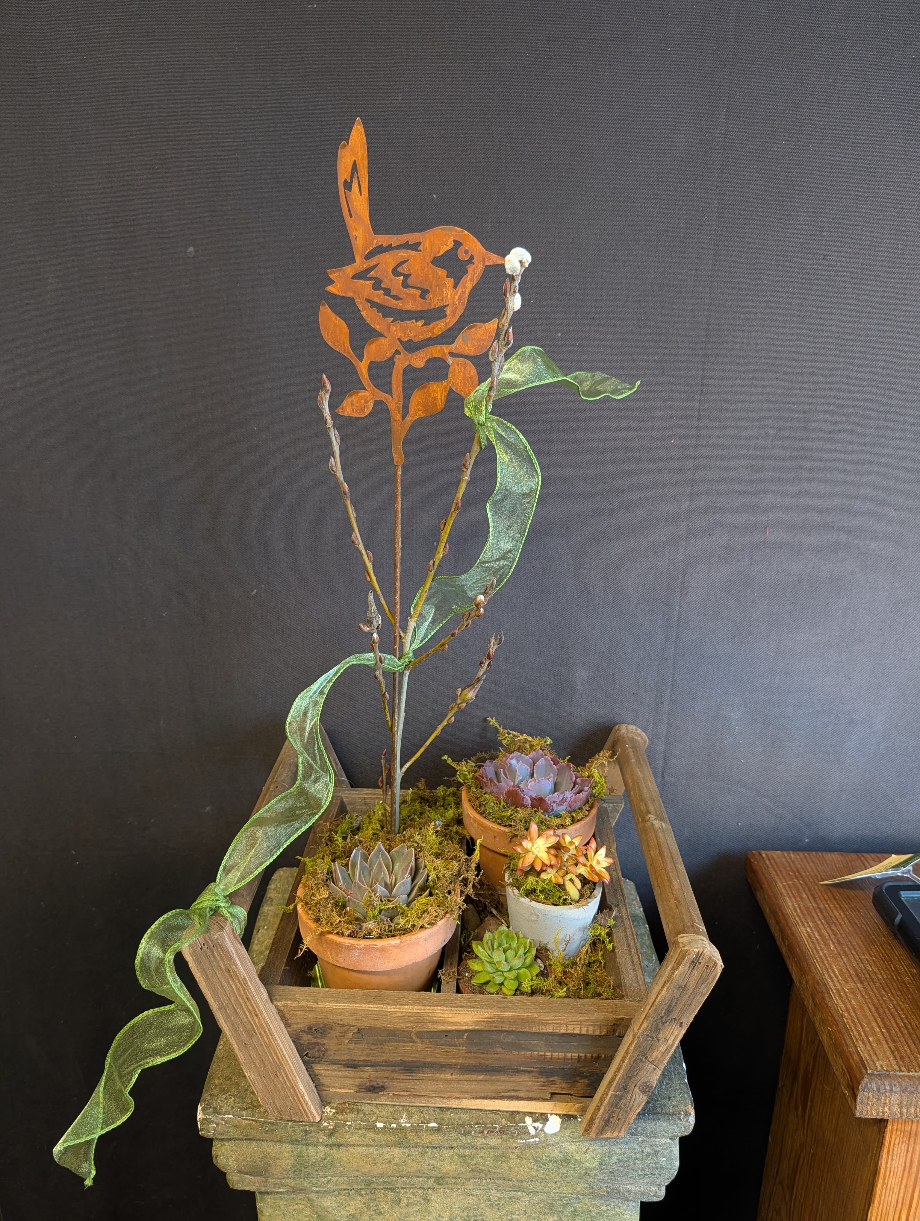 Succulent Garden Box - Inspired by the natural elegance of the desert, this gorgeous succulent garden in a rustic wood container is a lovely, long-lasting addition to any room! 