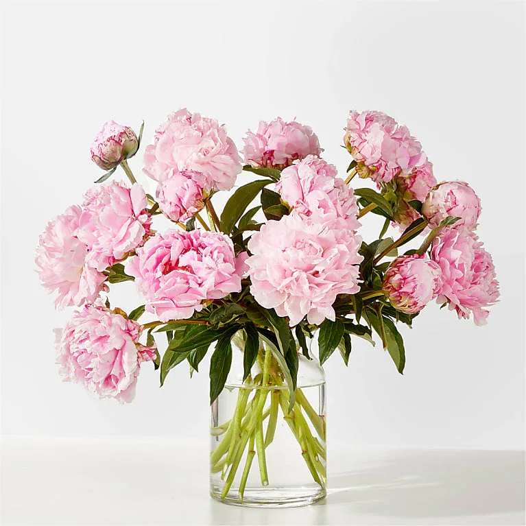 Pink peonies in a clear glass vase