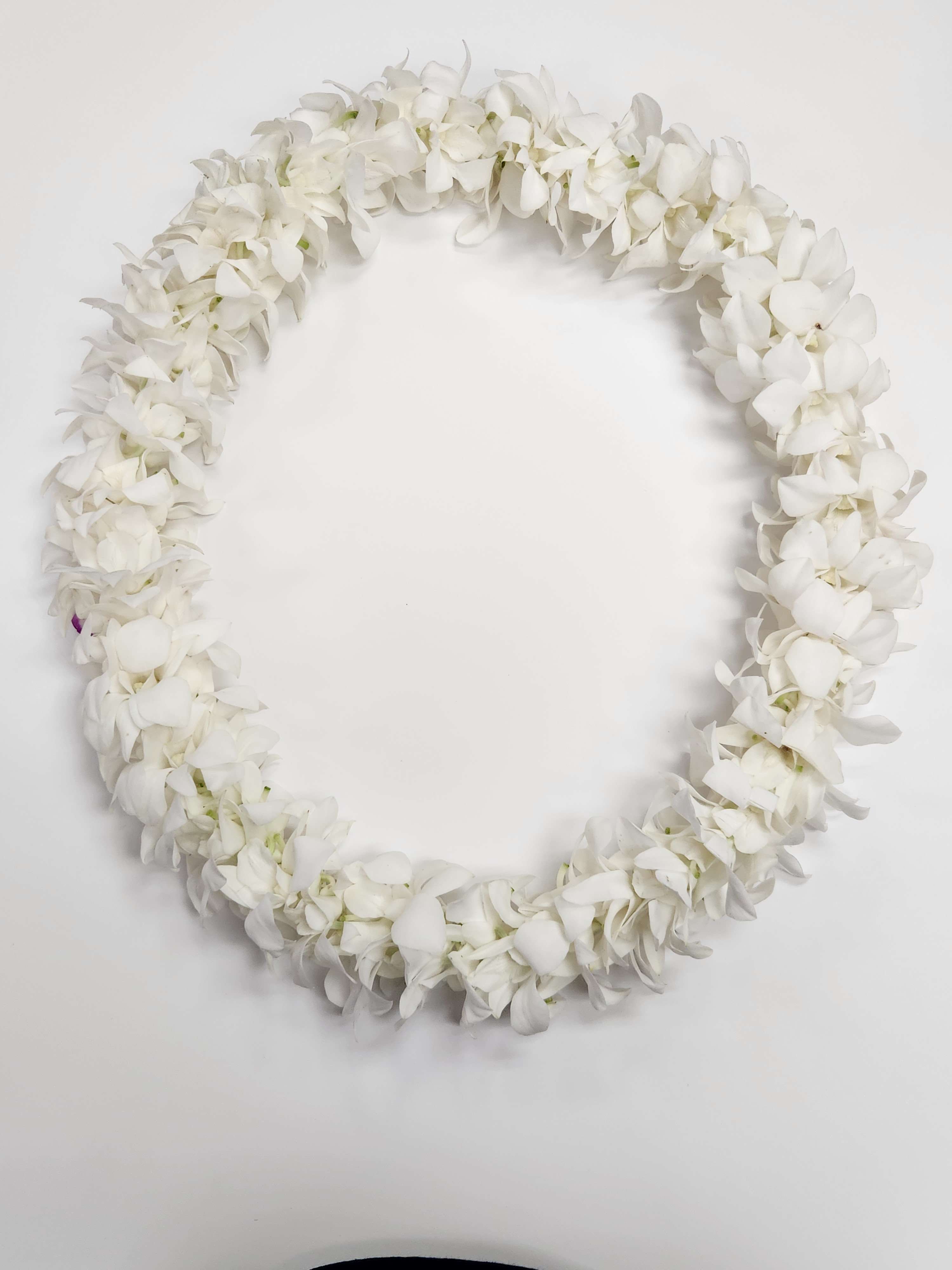 Ring-shaped garland of densely strung white orchid blooms on a white background