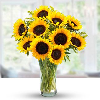 Bouquet of sunflowers in a clear glass vase