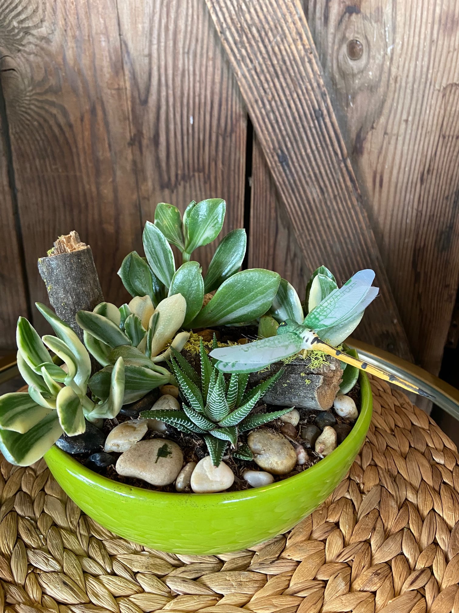 Succulent garden in a bright green bowl with stones and a decorative dragonfly pick