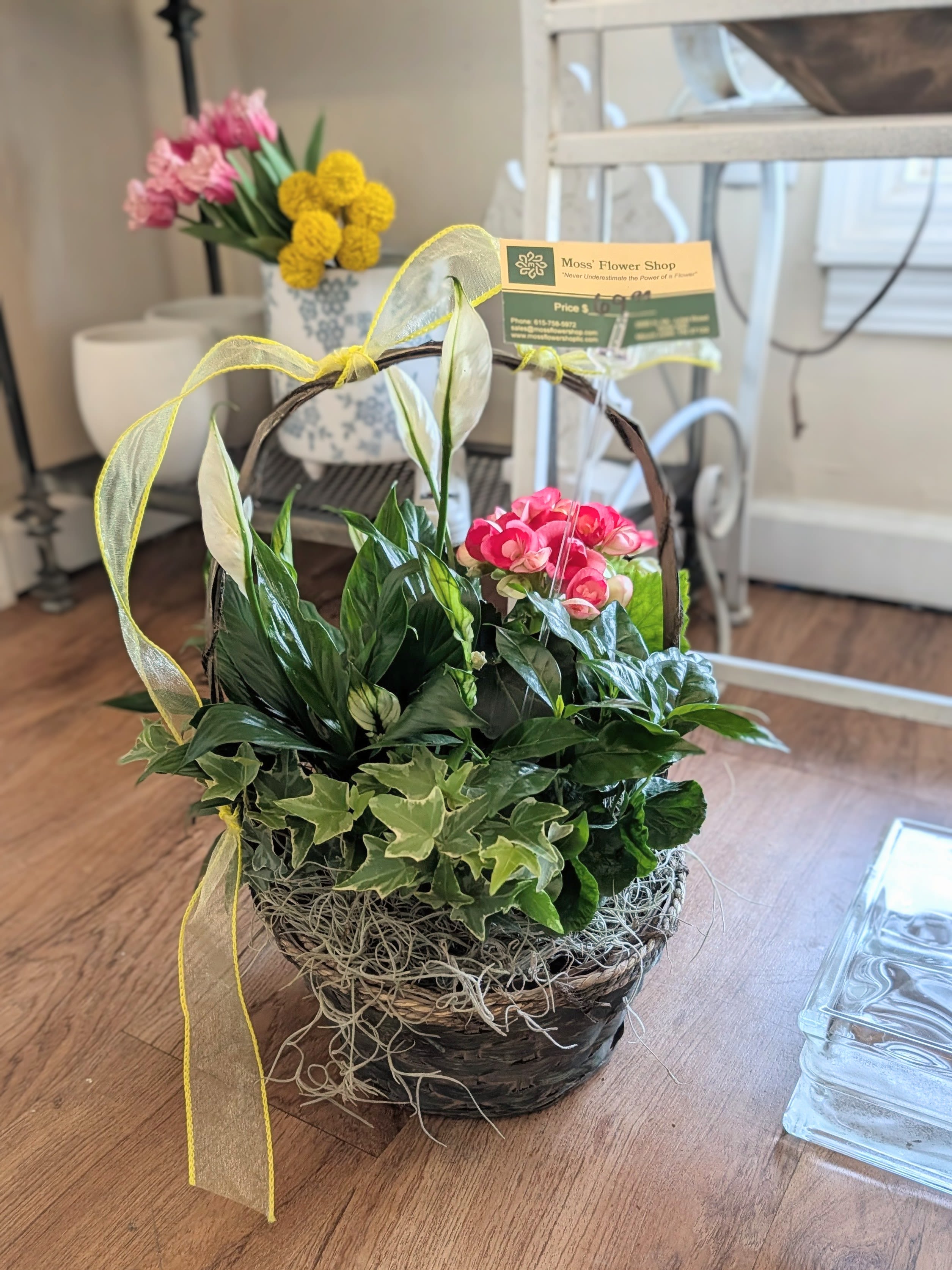 Garden Basket  - Blooming mix plant basket with festive bow.