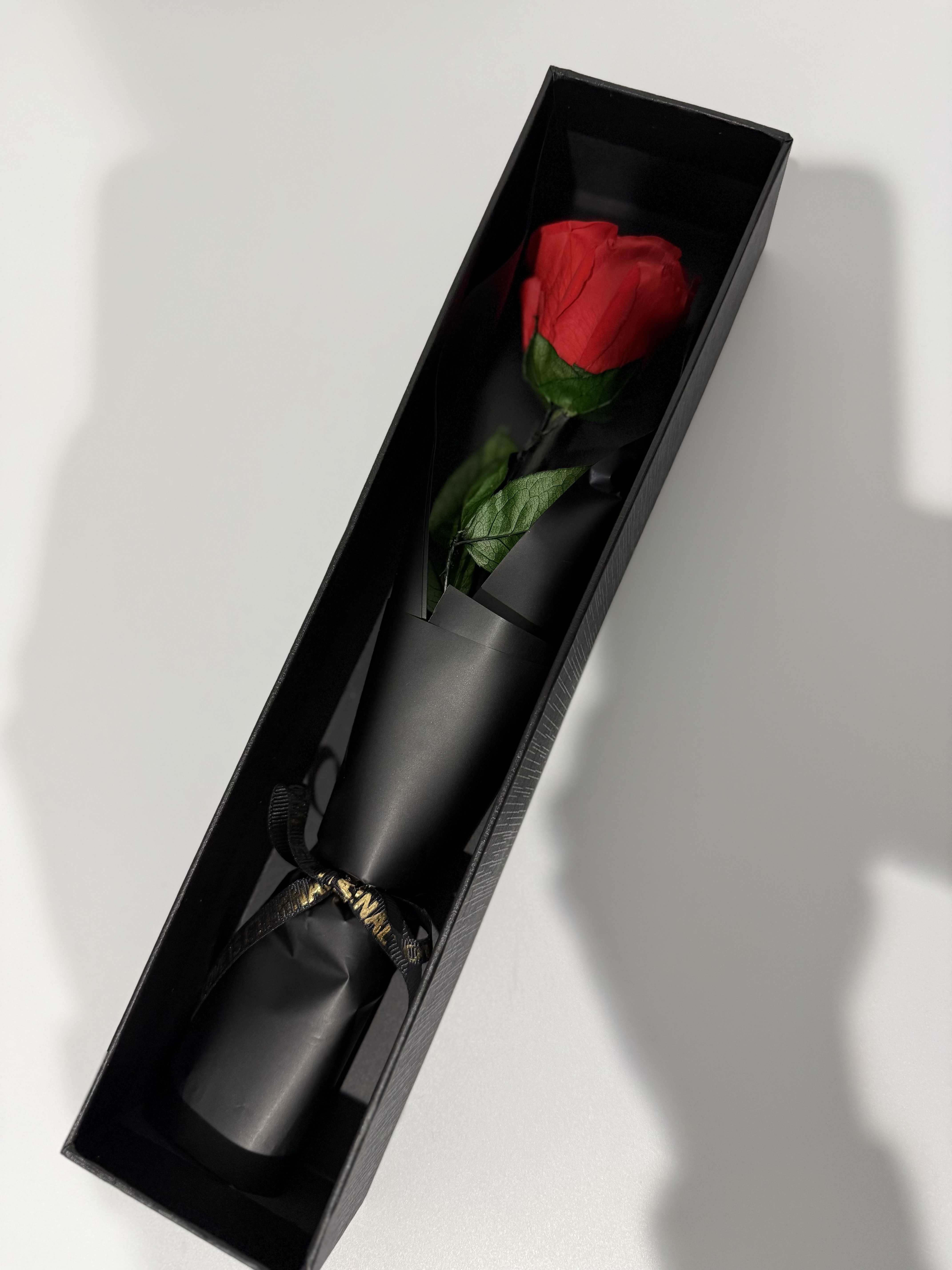 Single red rose in a black gift box