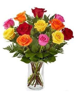colorful roses one Dozen Roses  - one dozen mix roses 