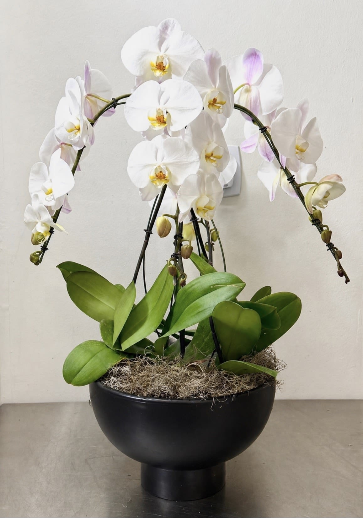 Arrangement with Phalaenopsis orchids  - 4 beautiful Phalaenopsis orchids in white or black ceramic pot. Please specify which color of pot you want in special instructions section. 