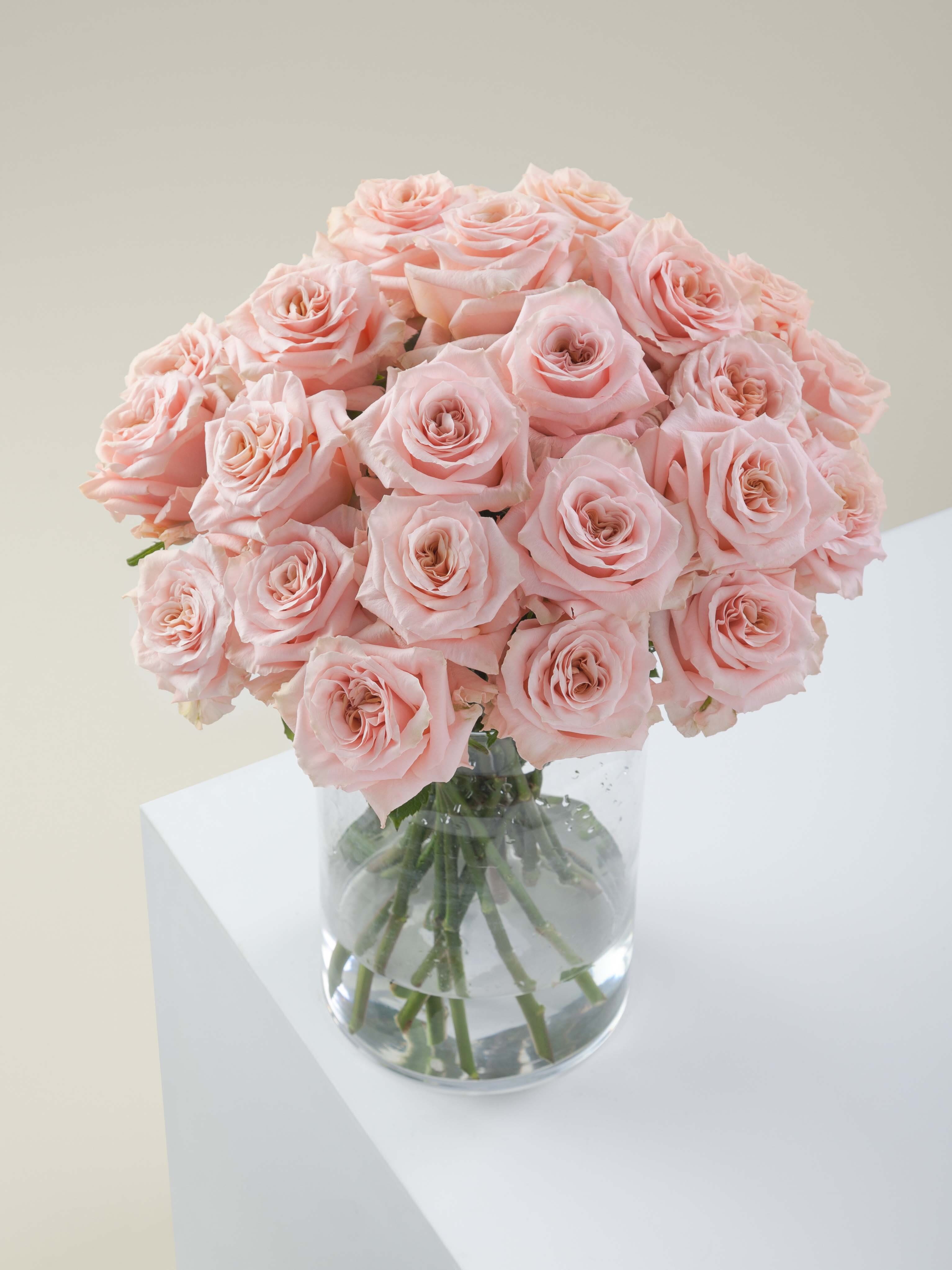 The Grand Gesture (36 Roses) - 36 fresh  roses in your choice of variety, 70 cm stem length and wrap style. Ribbon wrap included. Delivered fresh from our DTLA shop.