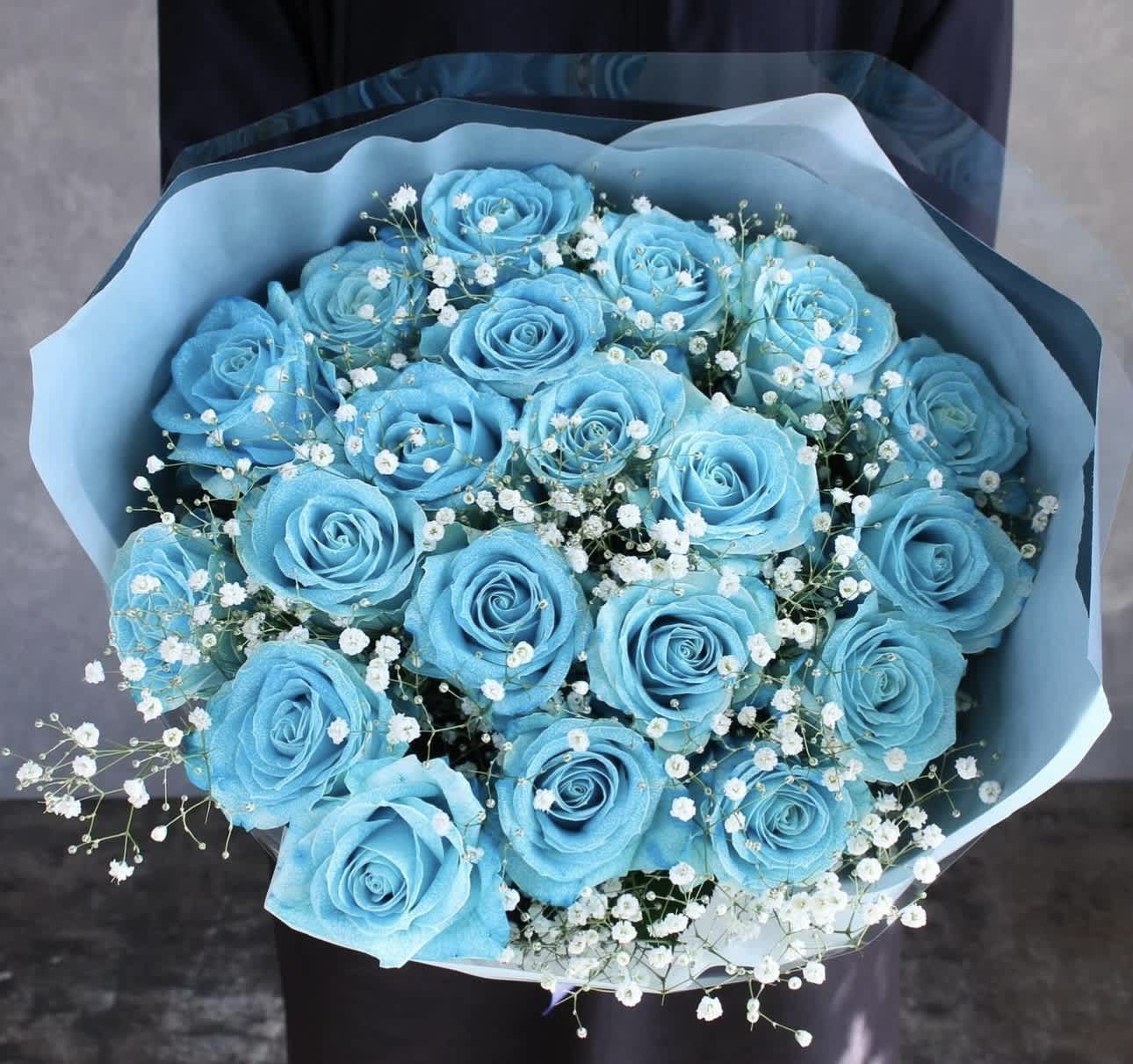 Bouquet of bright blue roses with white baby's breath