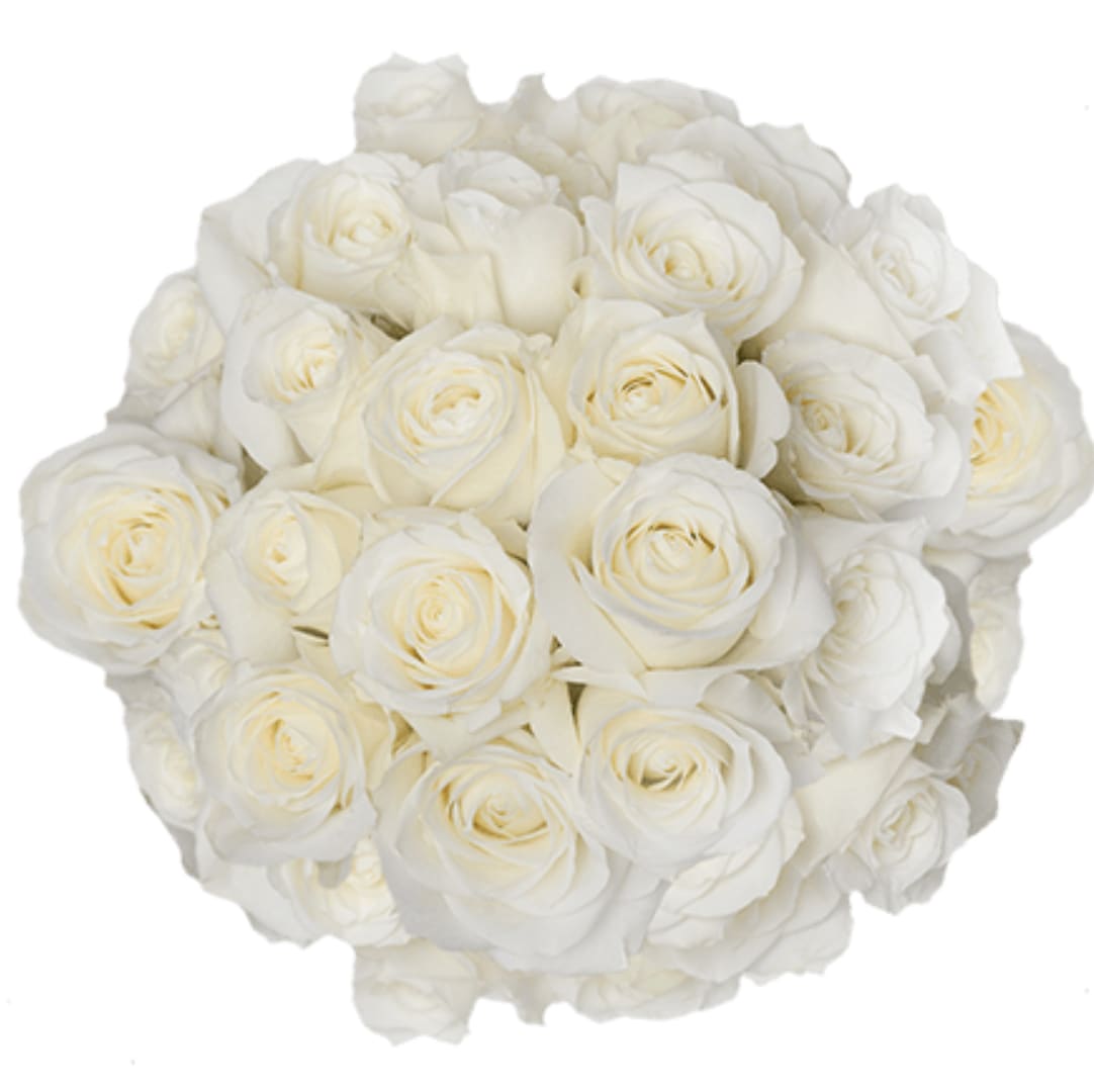 Tightly clustered round bouquet of ivory and white roses viewed from above